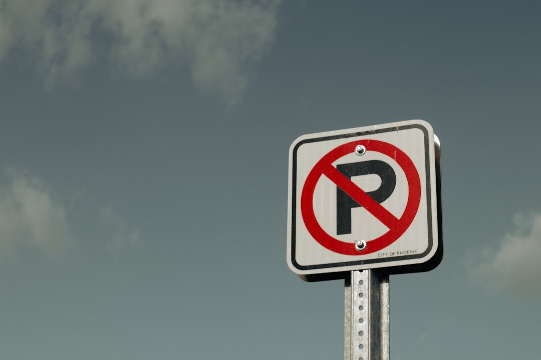 a no parking sign with a sky background