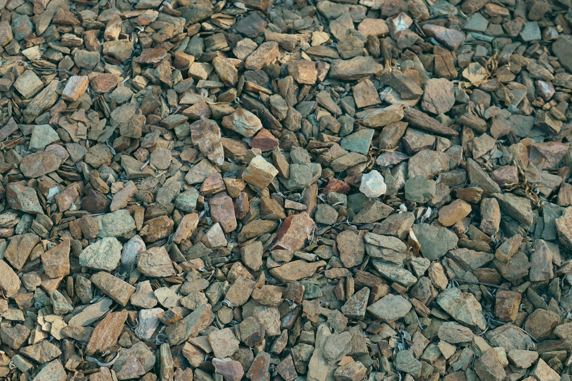 a bunch of rocks that are laying on the ground