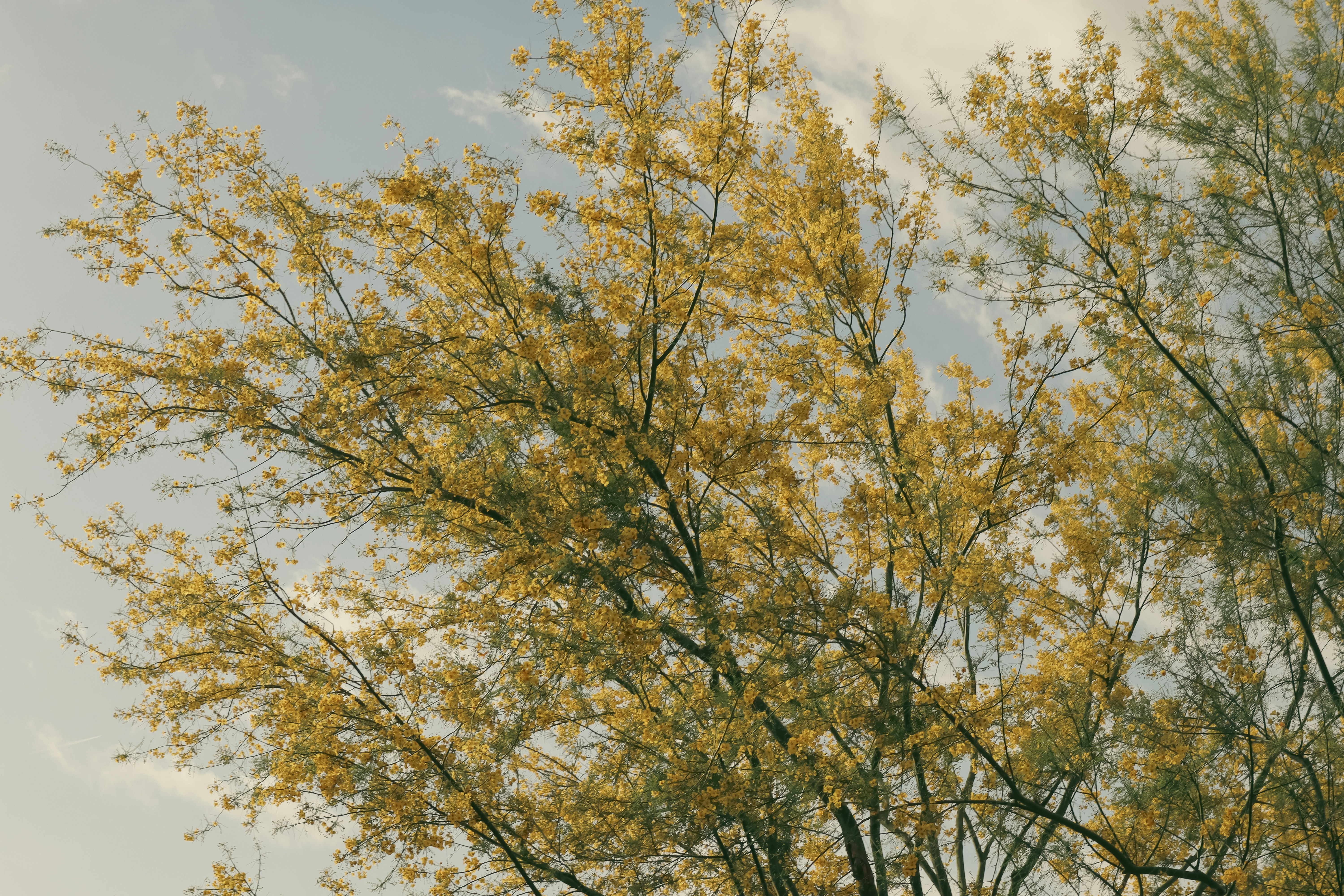 Photo by _allieastorga_