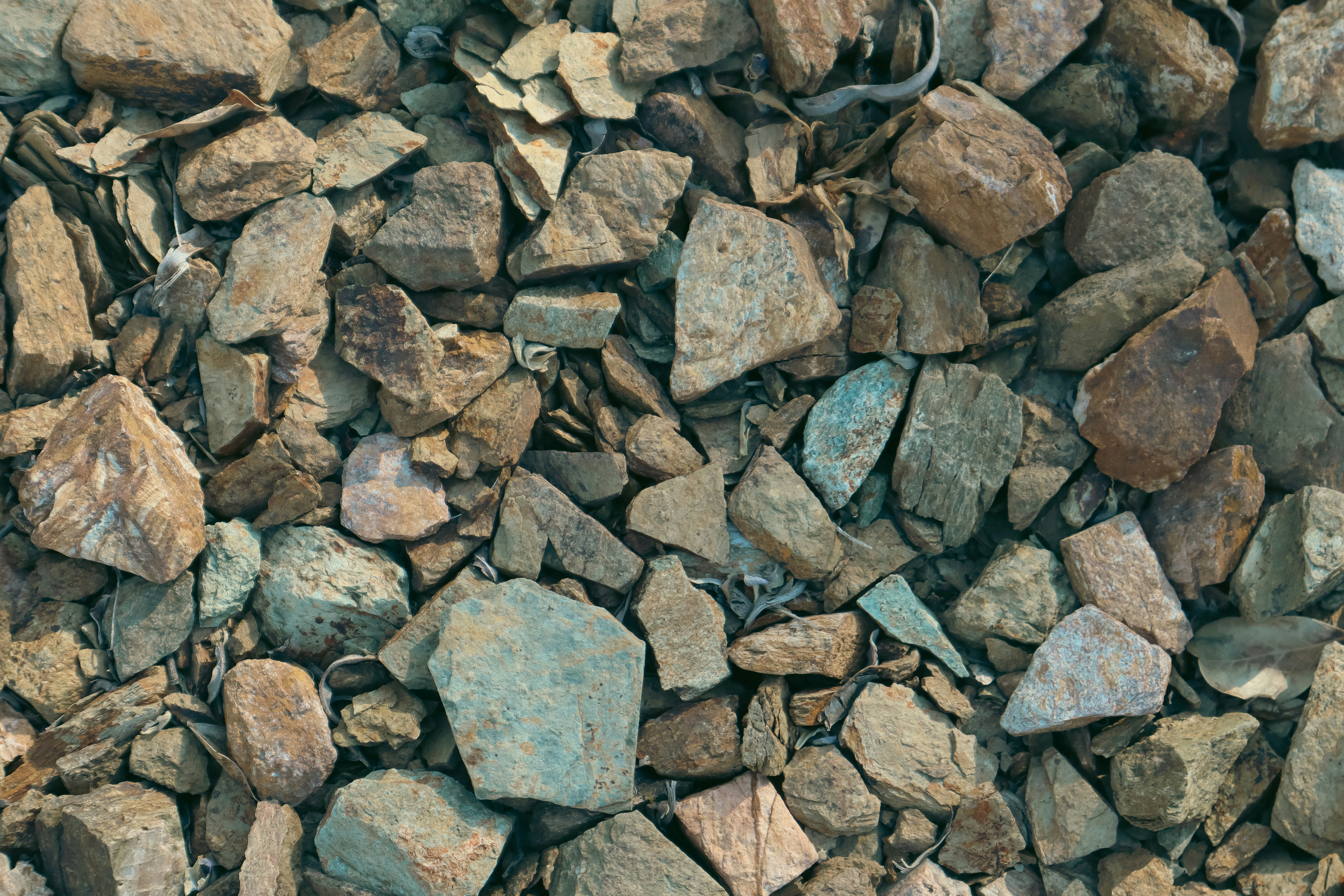 Photo by _allieastorga_