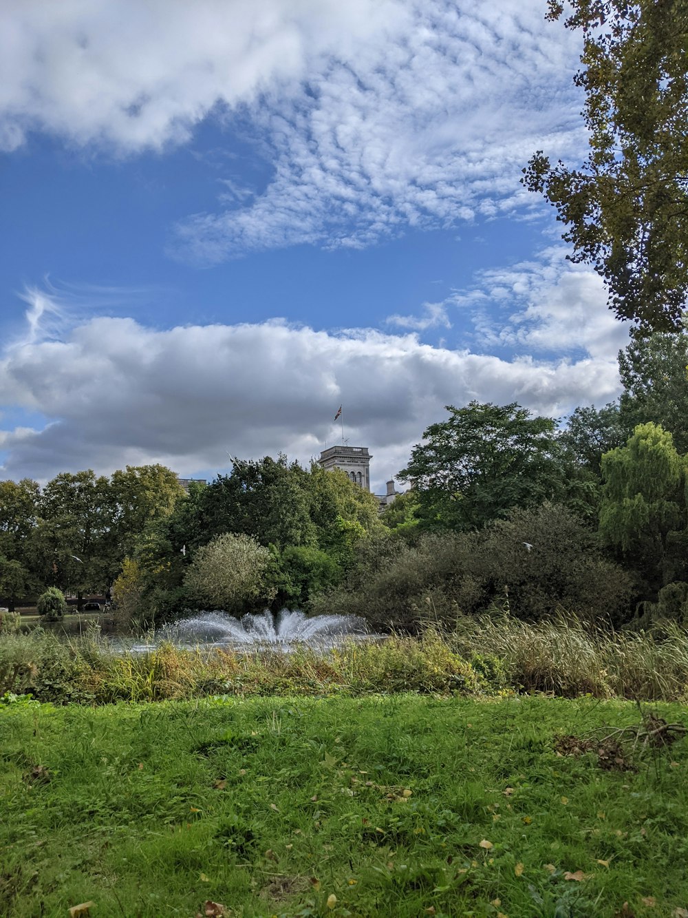 a view of a park with a river running through it