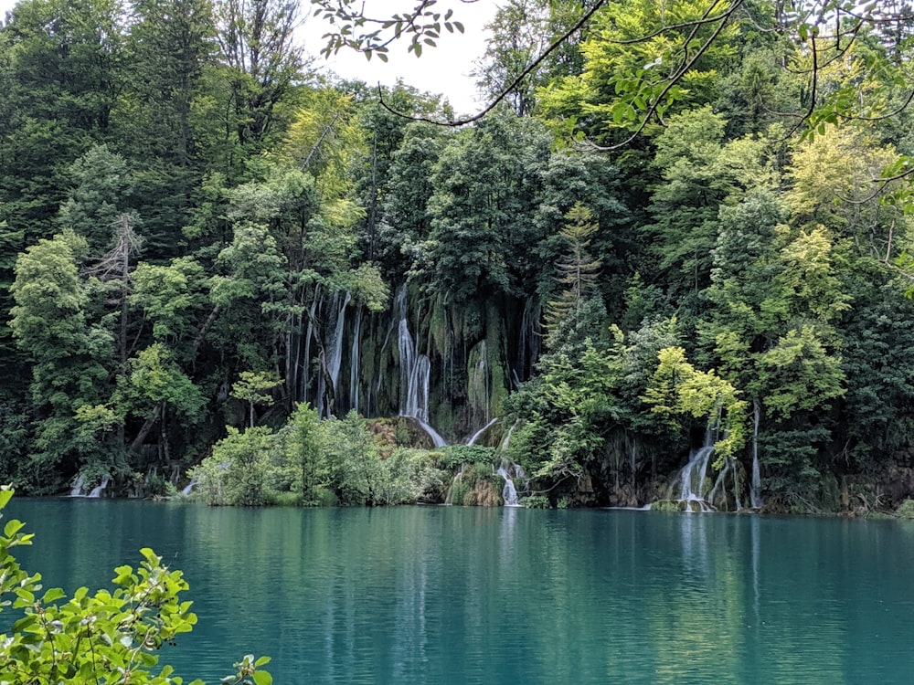 a large body of water surrounded by trees