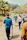 Group of tourists happily exploring a scenic Punta Cana excursion with lush greenery around.