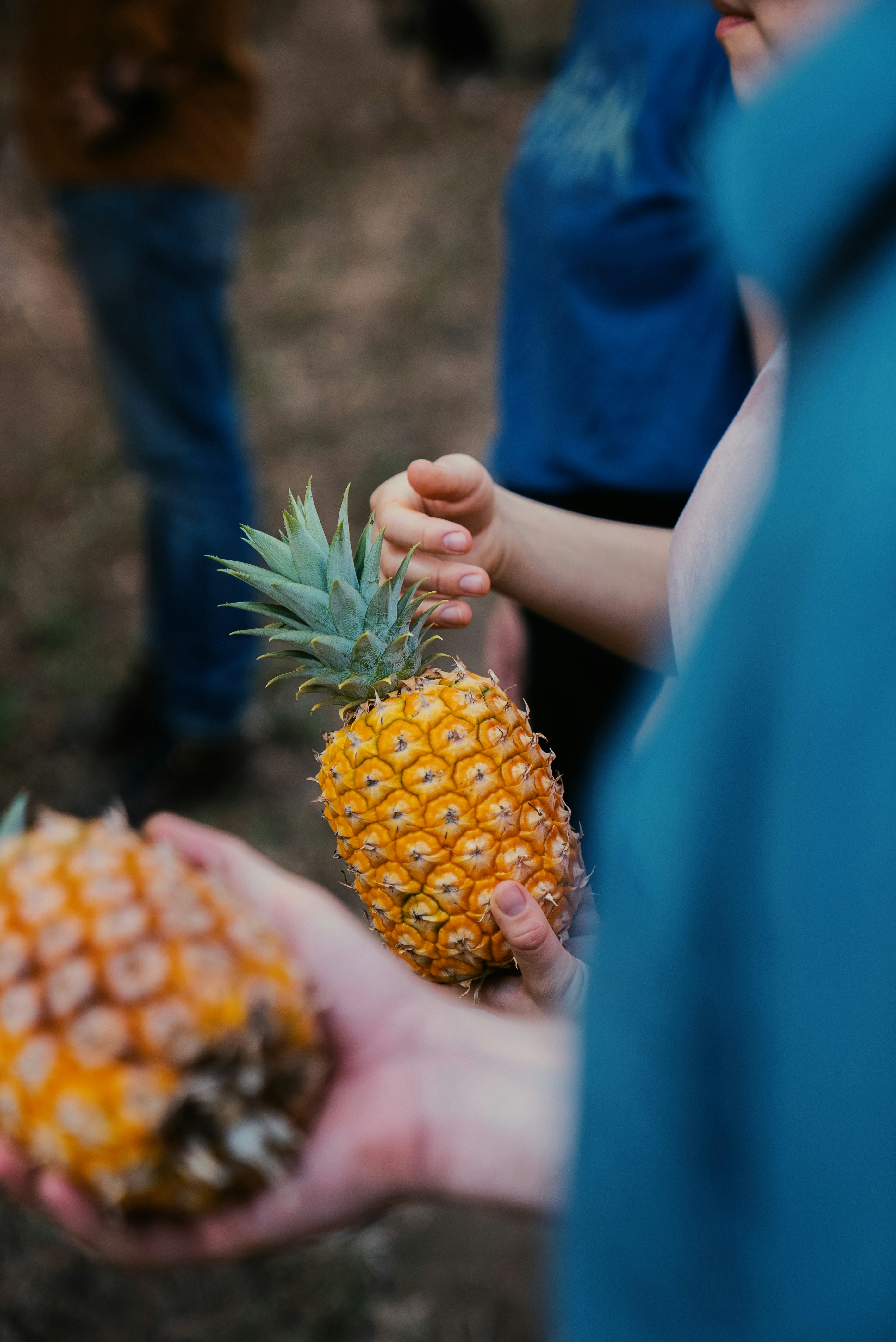 A True Taste of Nicaragua: Authentic Dishes You MUST Try