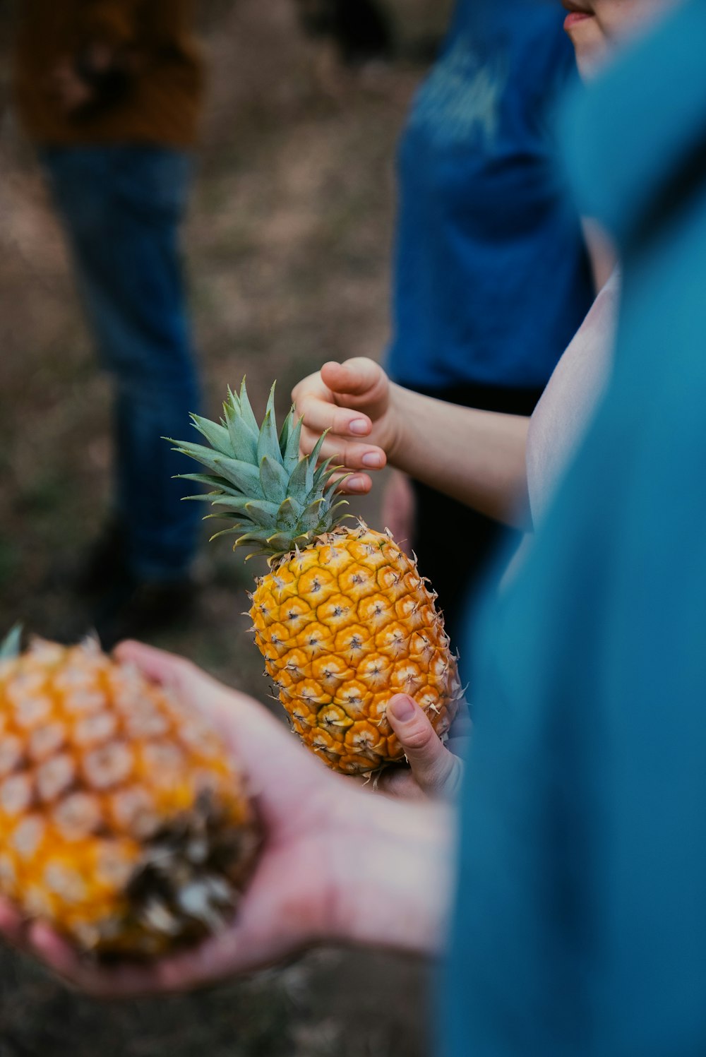 a person holding a pineapple in their hands