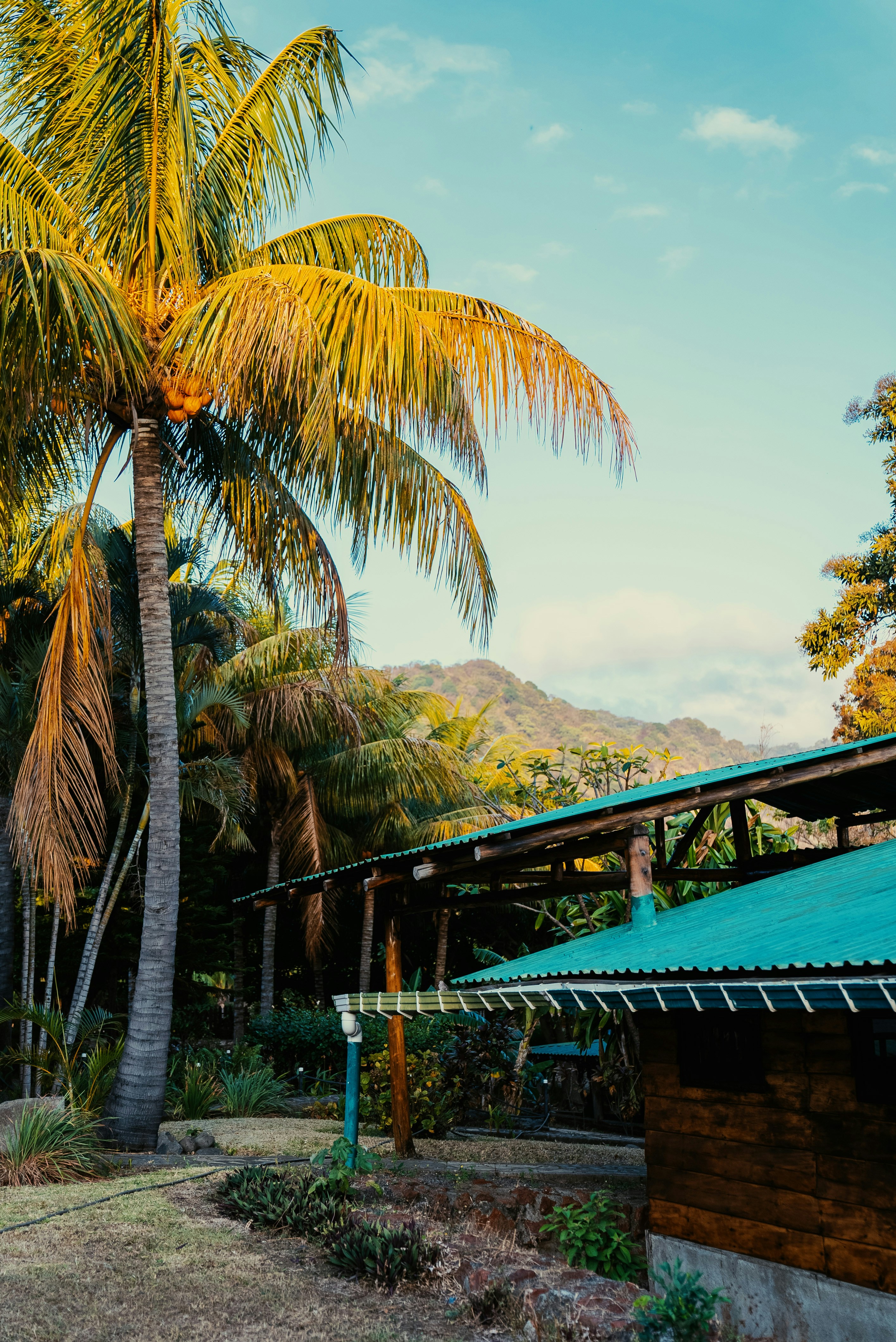 Photo by evanthewise