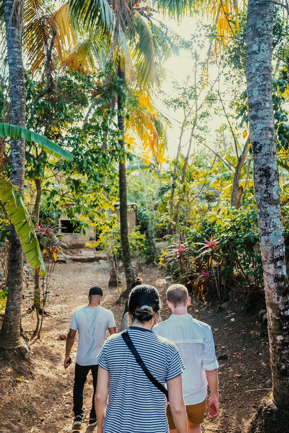 a group of people walking down a dirt path