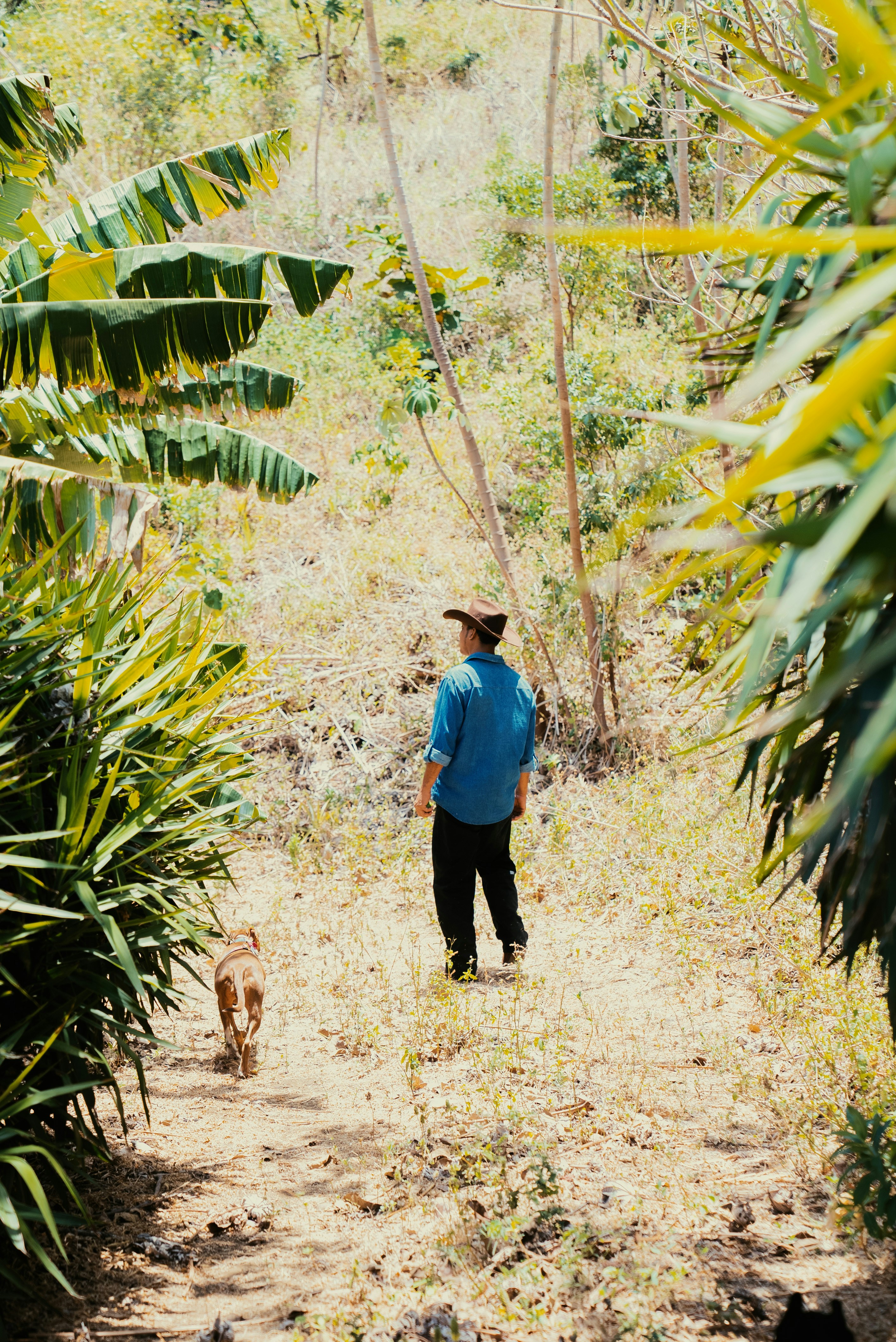 Photo by evanthewise