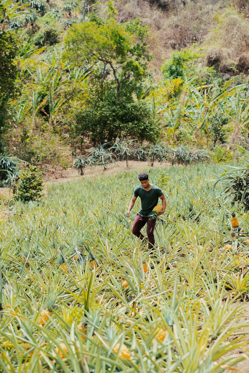 a man walking through a lush green field