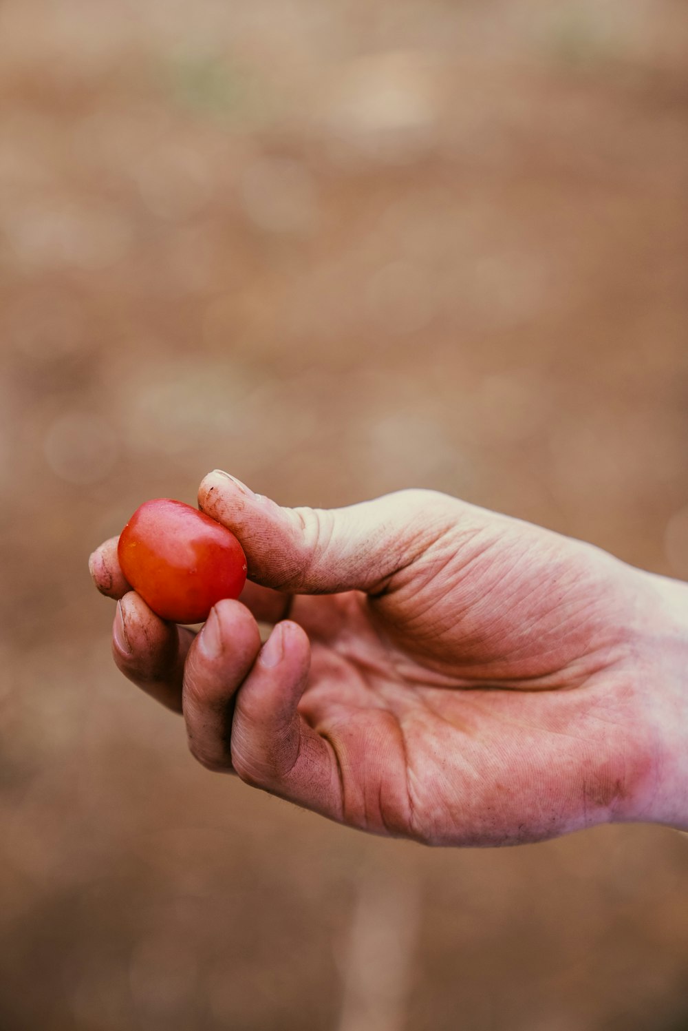 La mano di una persona che tiene un pezzo di frutta