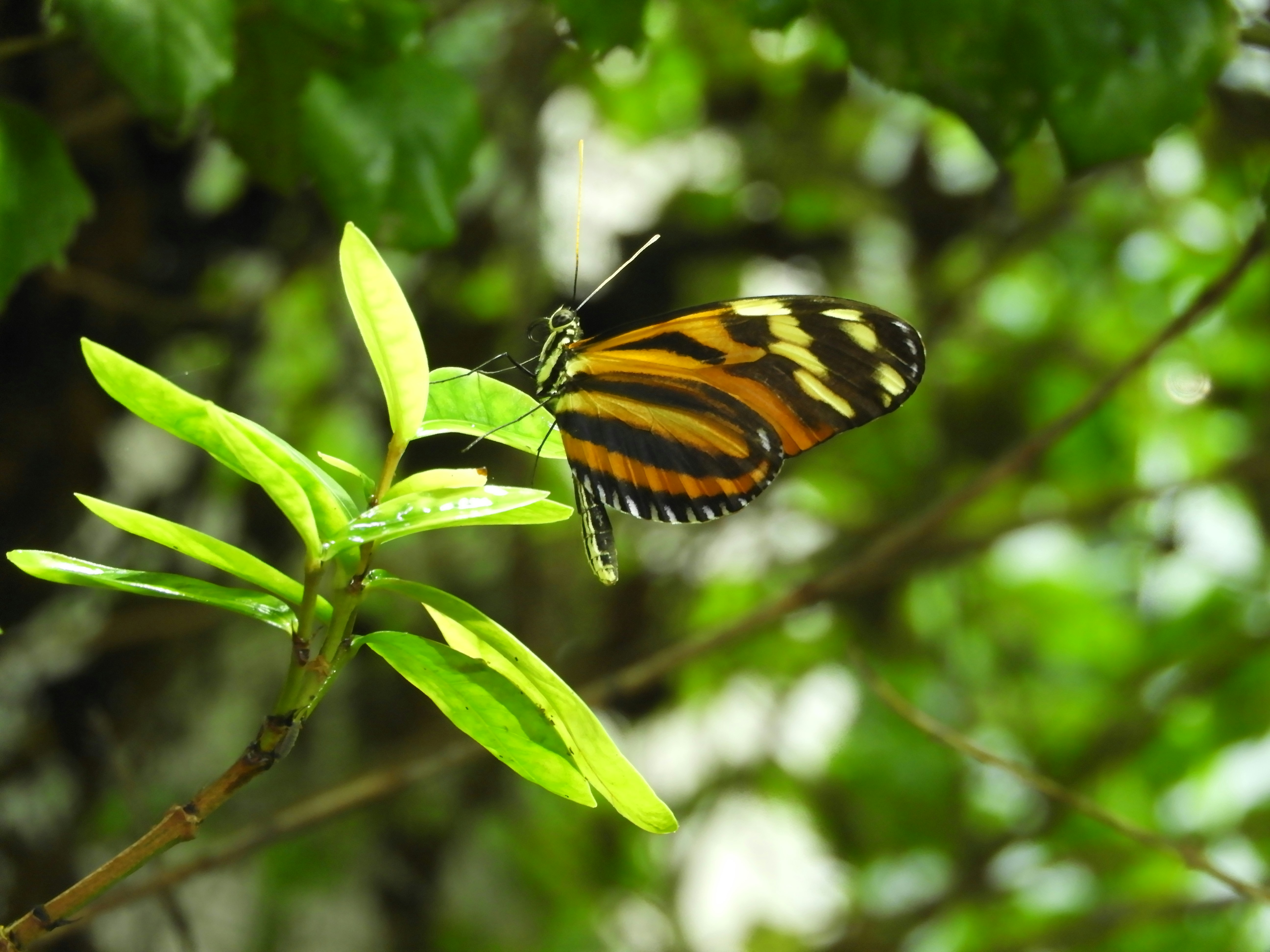 Photo by lmwcampbell8