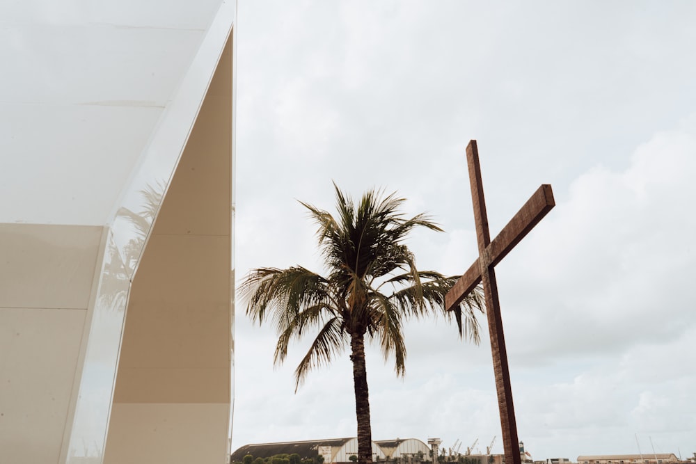 a palm tree next to a wooden cross