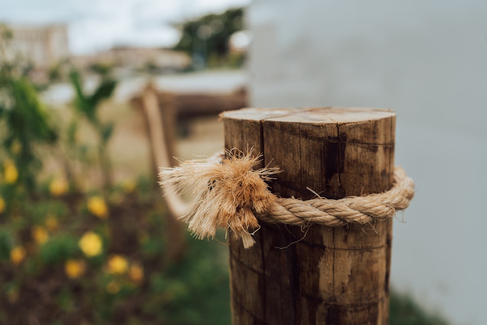 a close up of a rope wrapped around a wooden post
