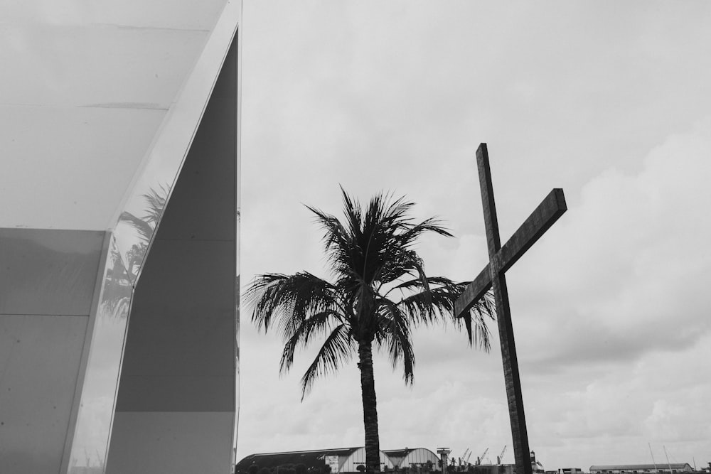 a black and white photo of a palm tree and a street sign