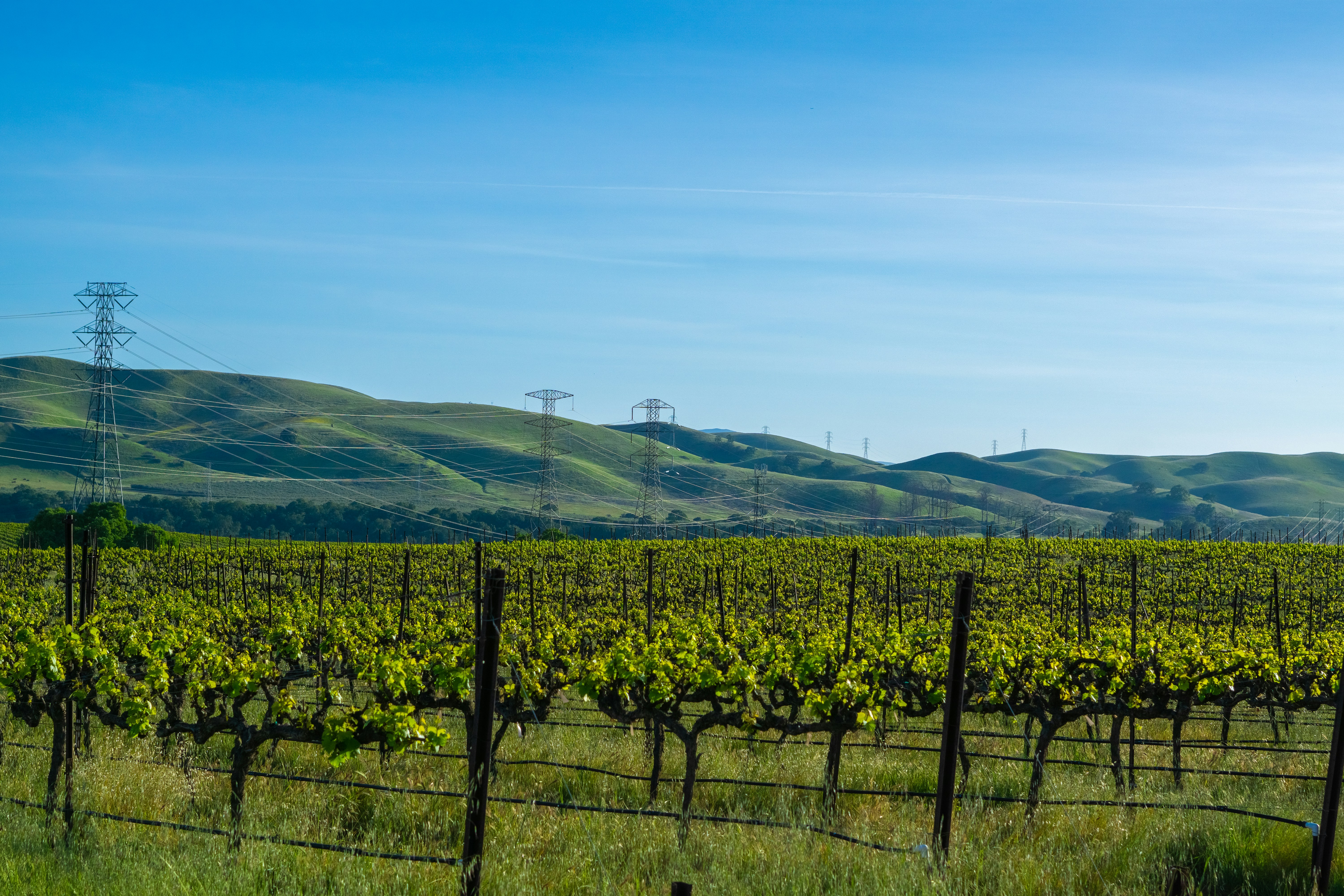 Photo by spencer_demera