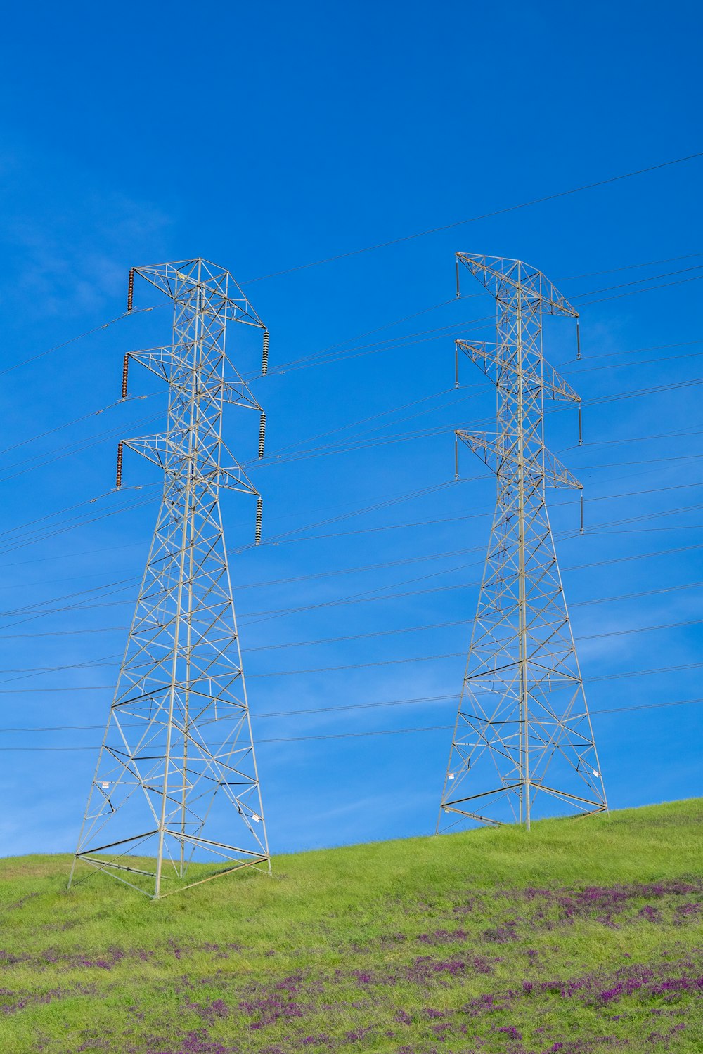 a couple of power poles sitting on top of a lush green hillside