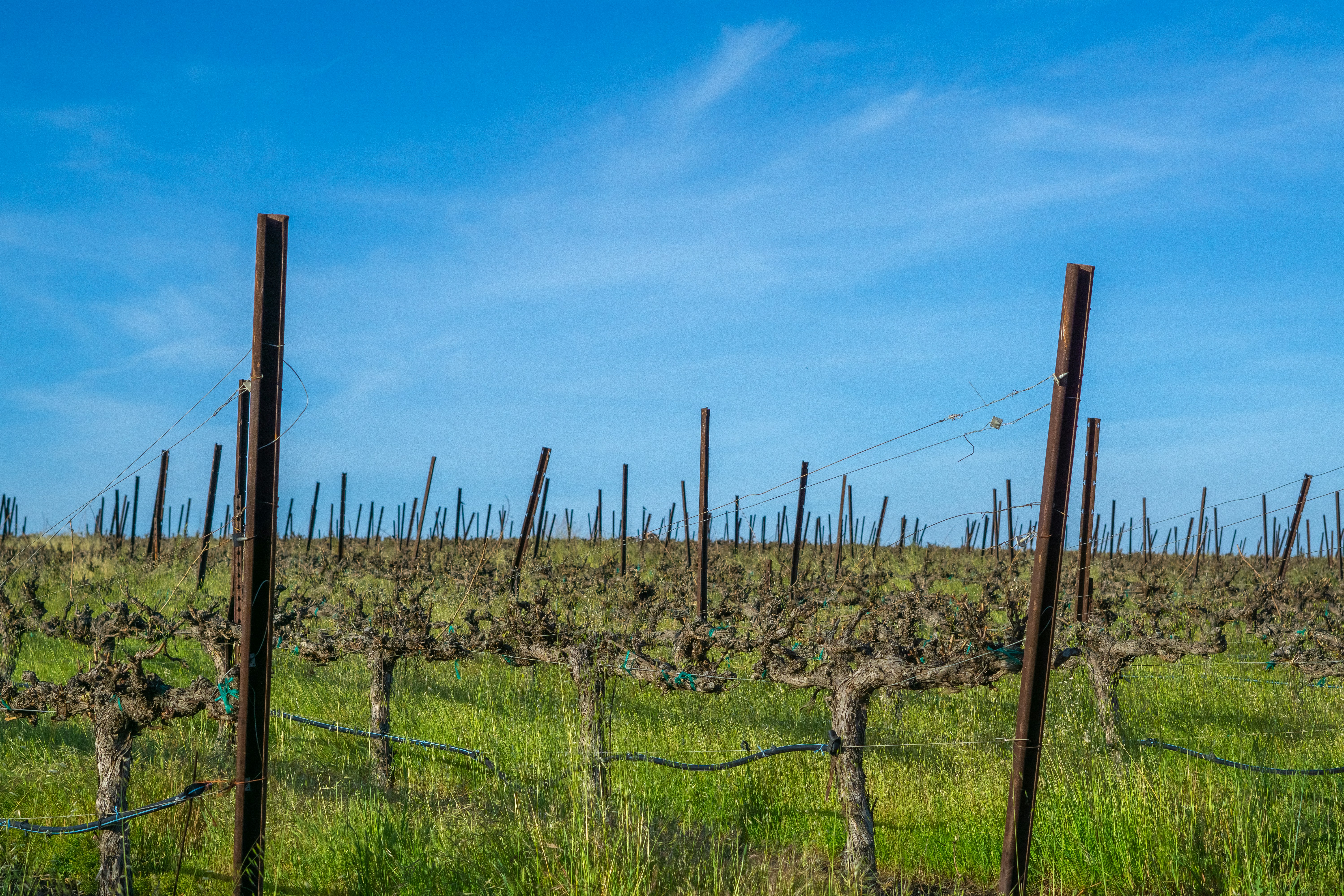 Photo by spencer_demera