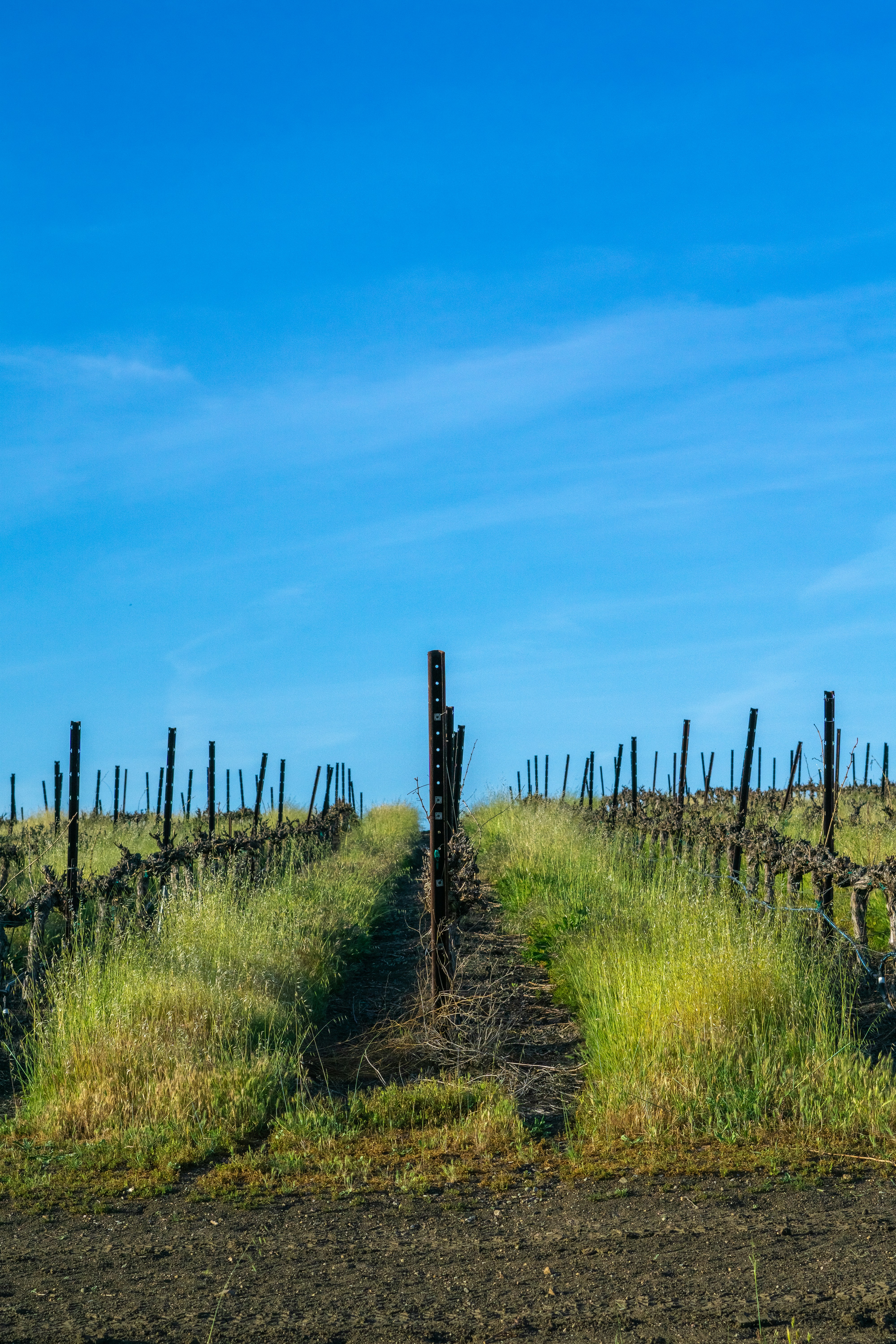 Photo by spencer_demera