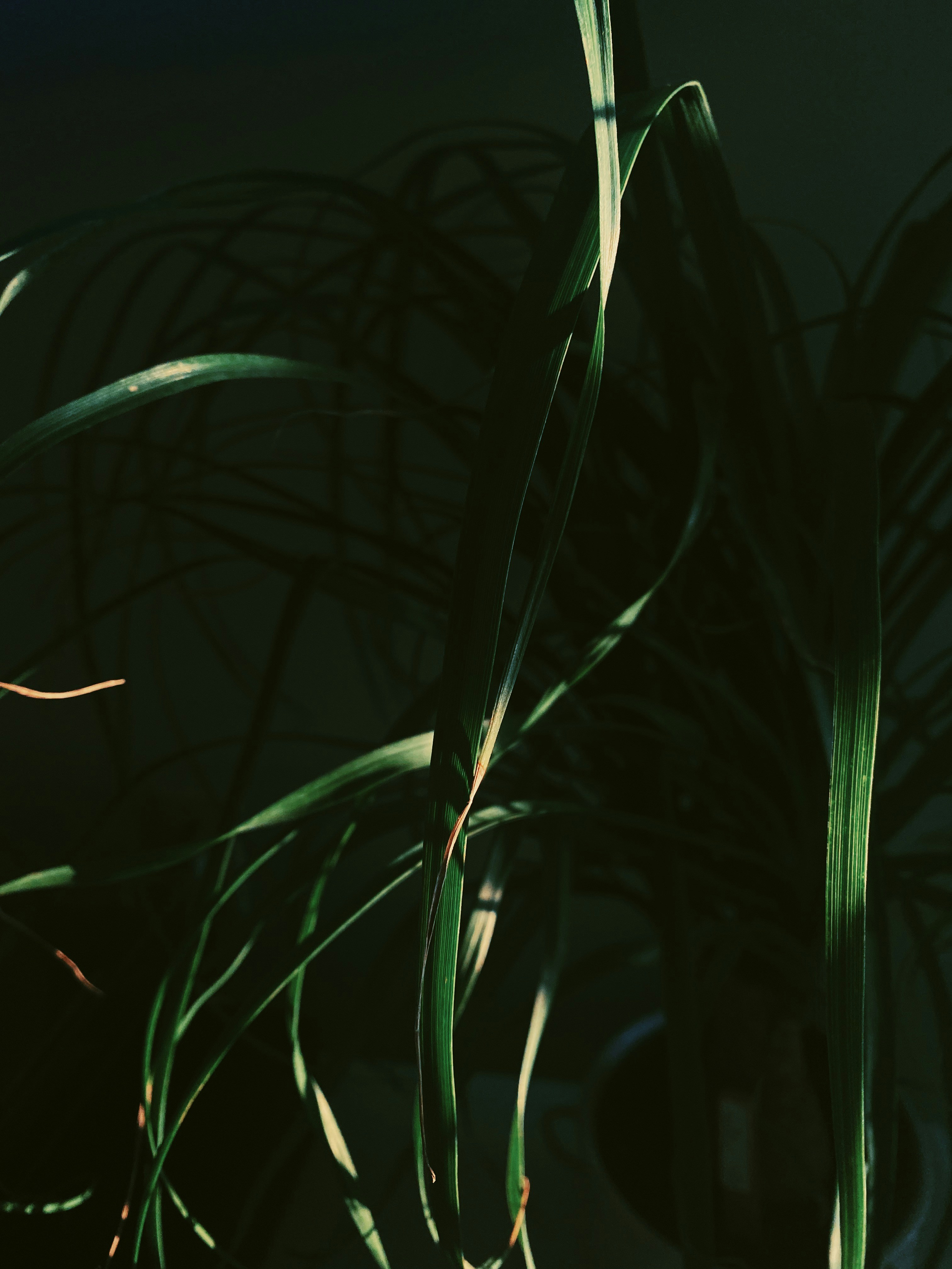 Photo by bri_nelson61