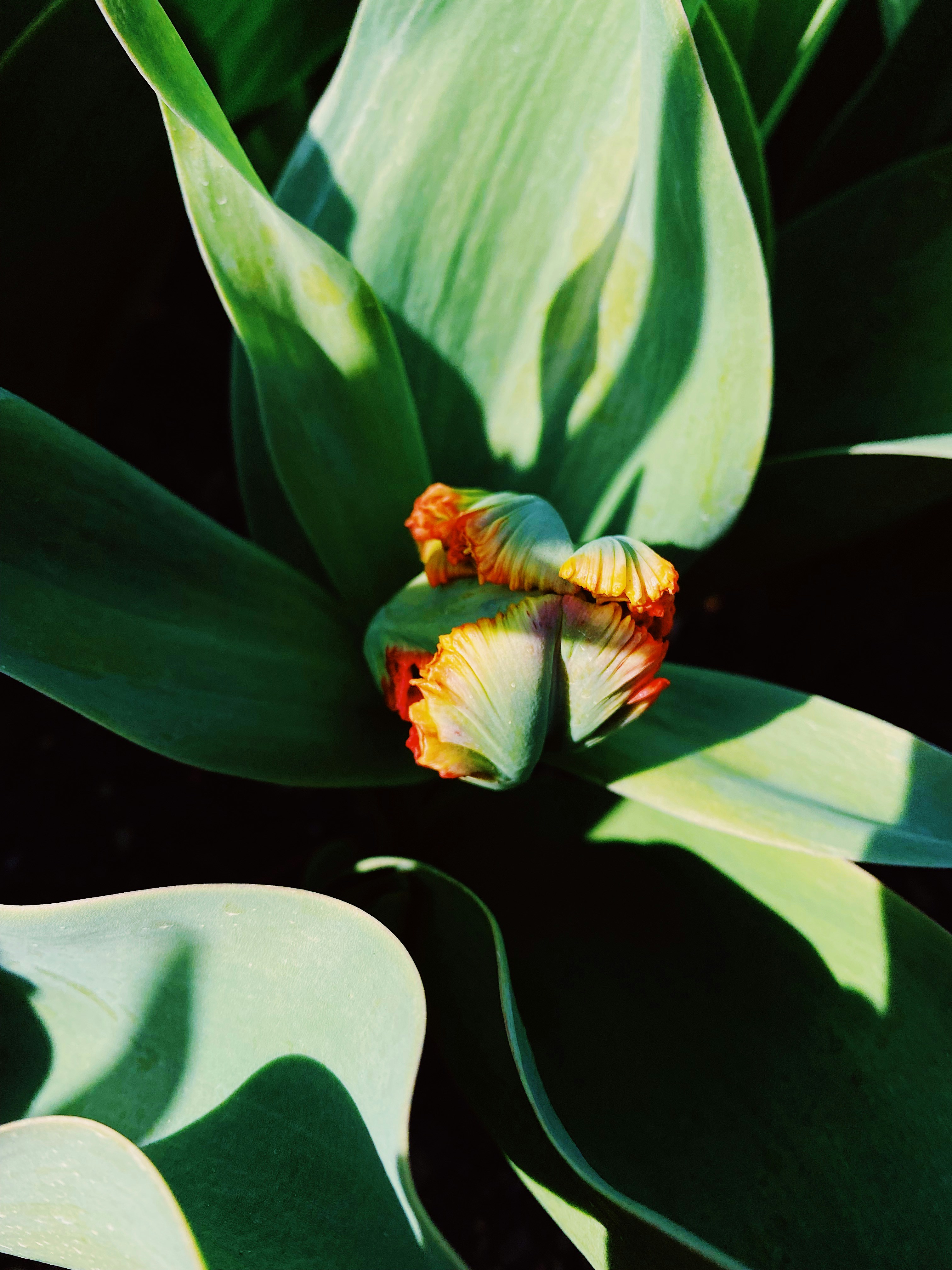 Photo by bri_nelson61