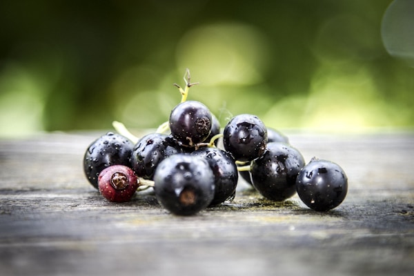 Black currant berries on the table