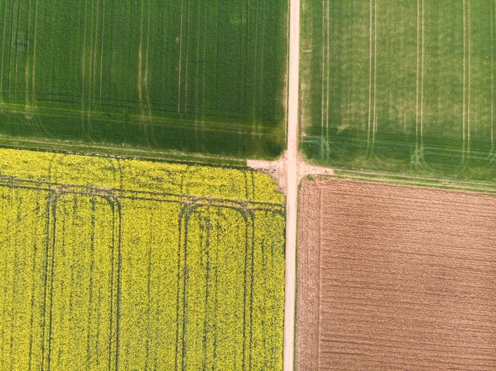 an aerial view of a farm field with crops