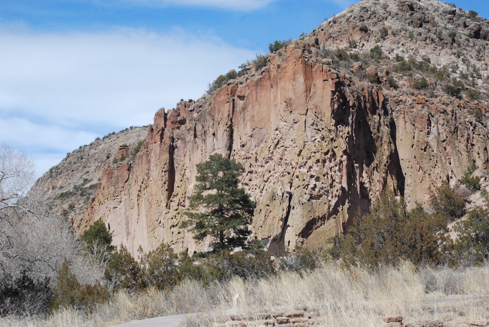 a rocky mountain with trees on the side of it