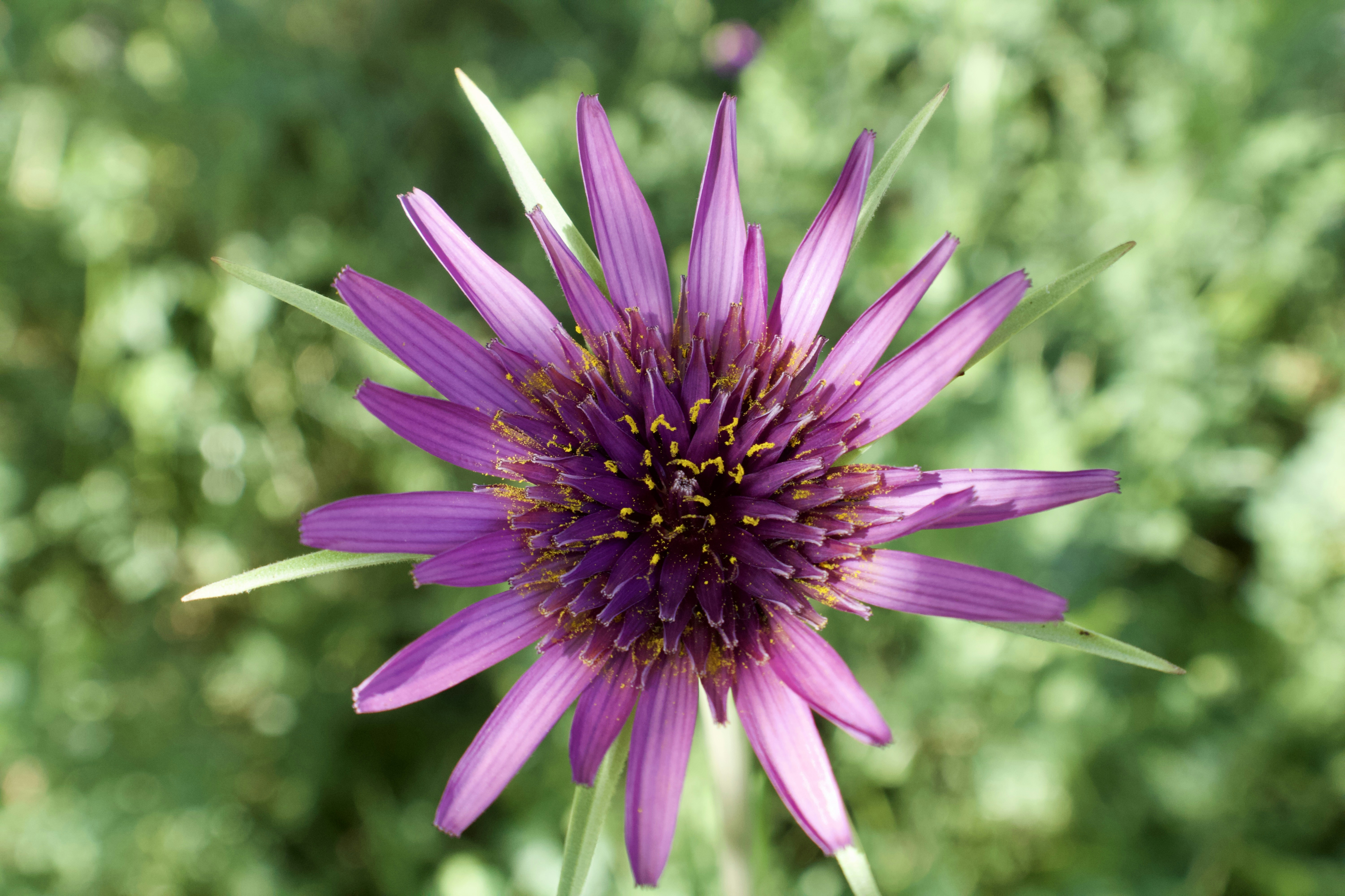 Photo by gabriellejace707