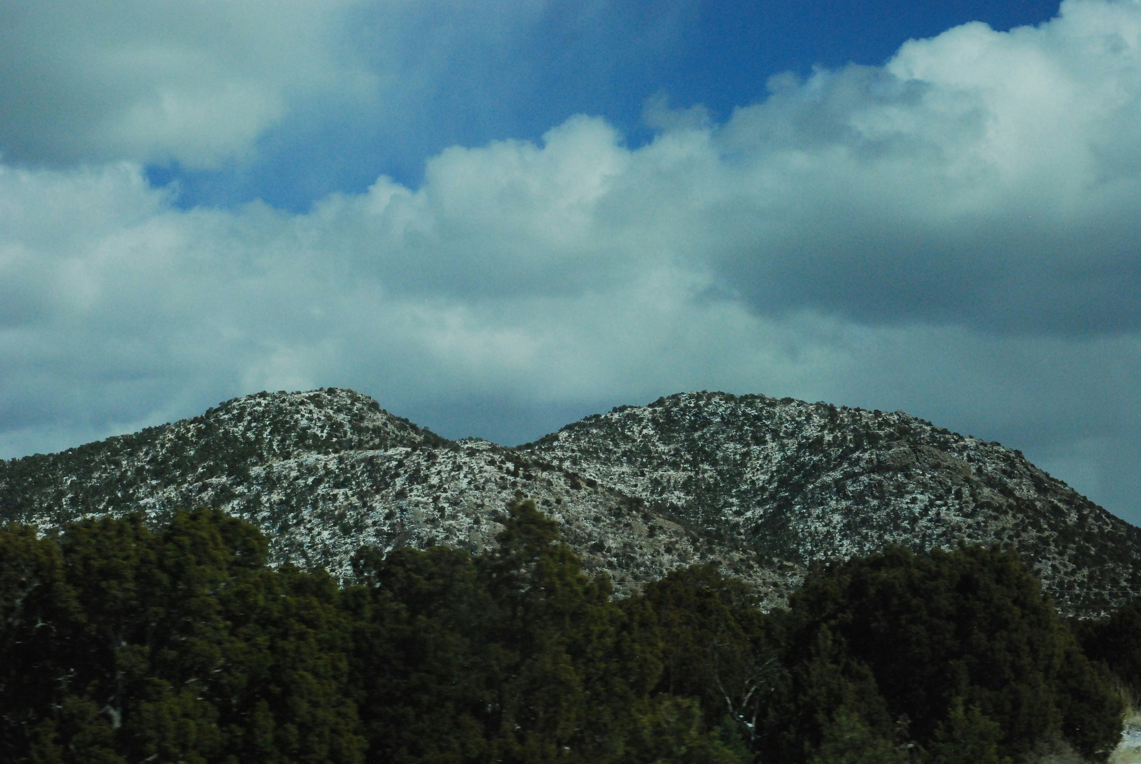 a snow covered mountain with trees in the foreground