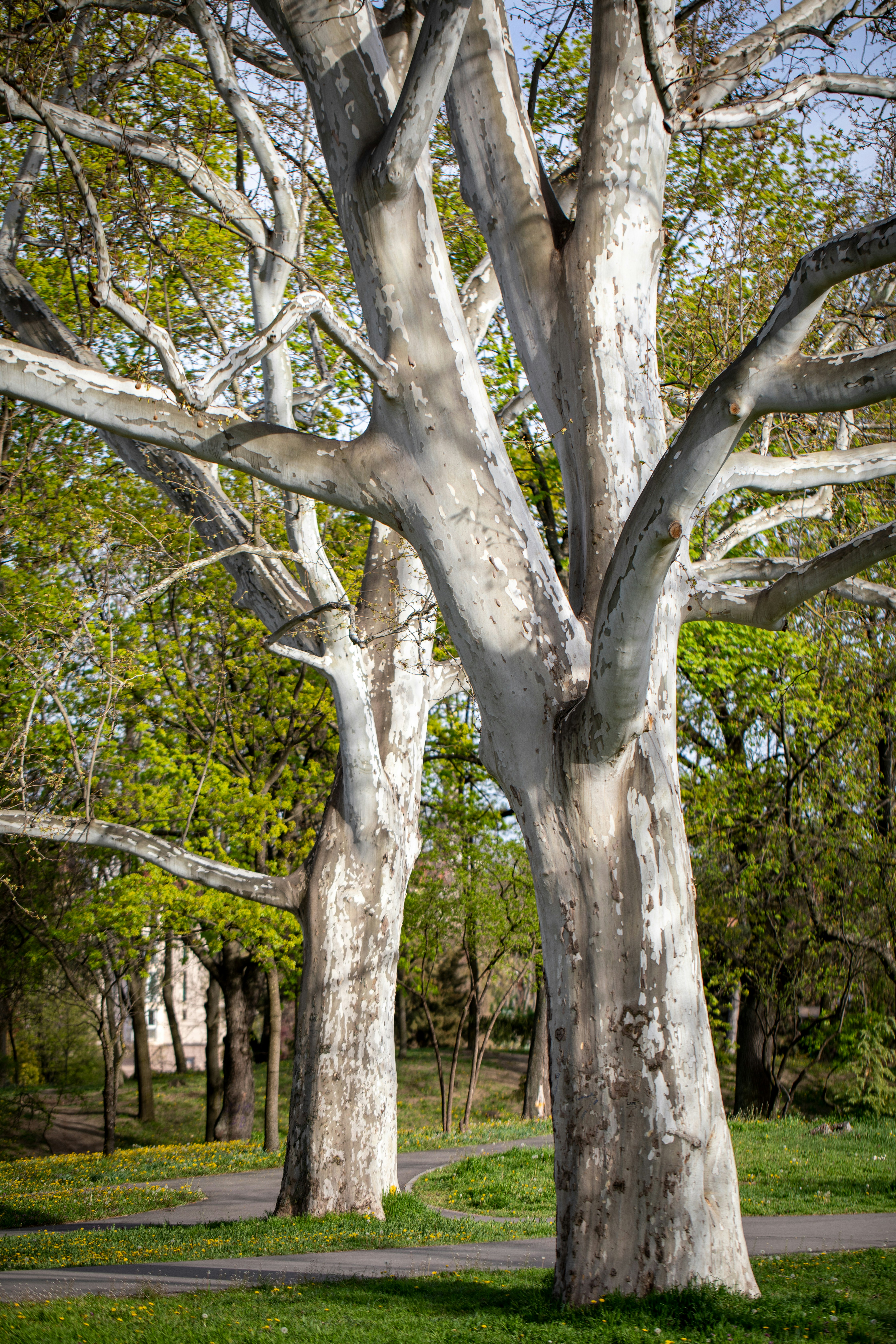 Photo by ovidiugruescu