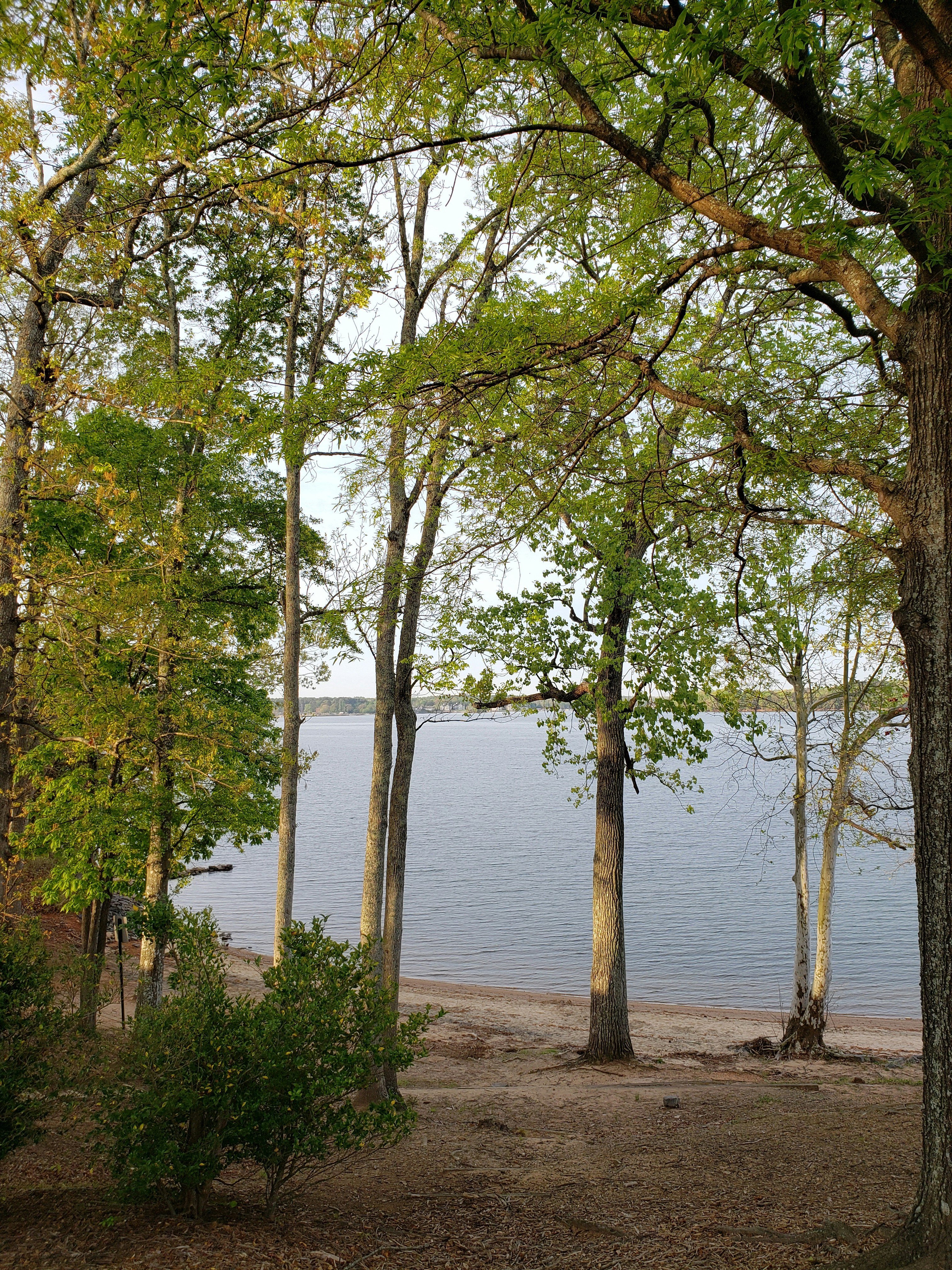 Photo by harindranvikram