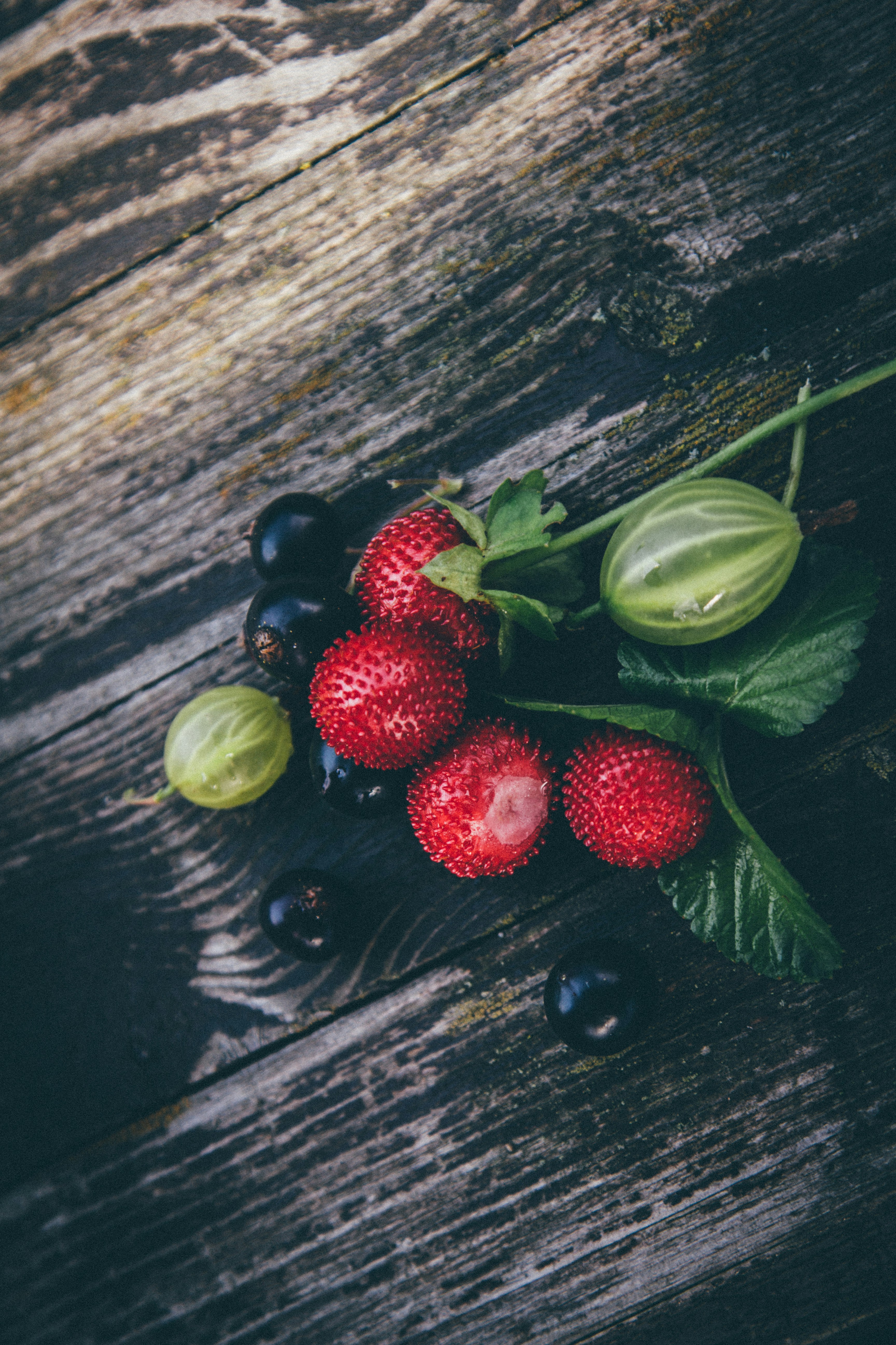 Photo by doctor_mabuse