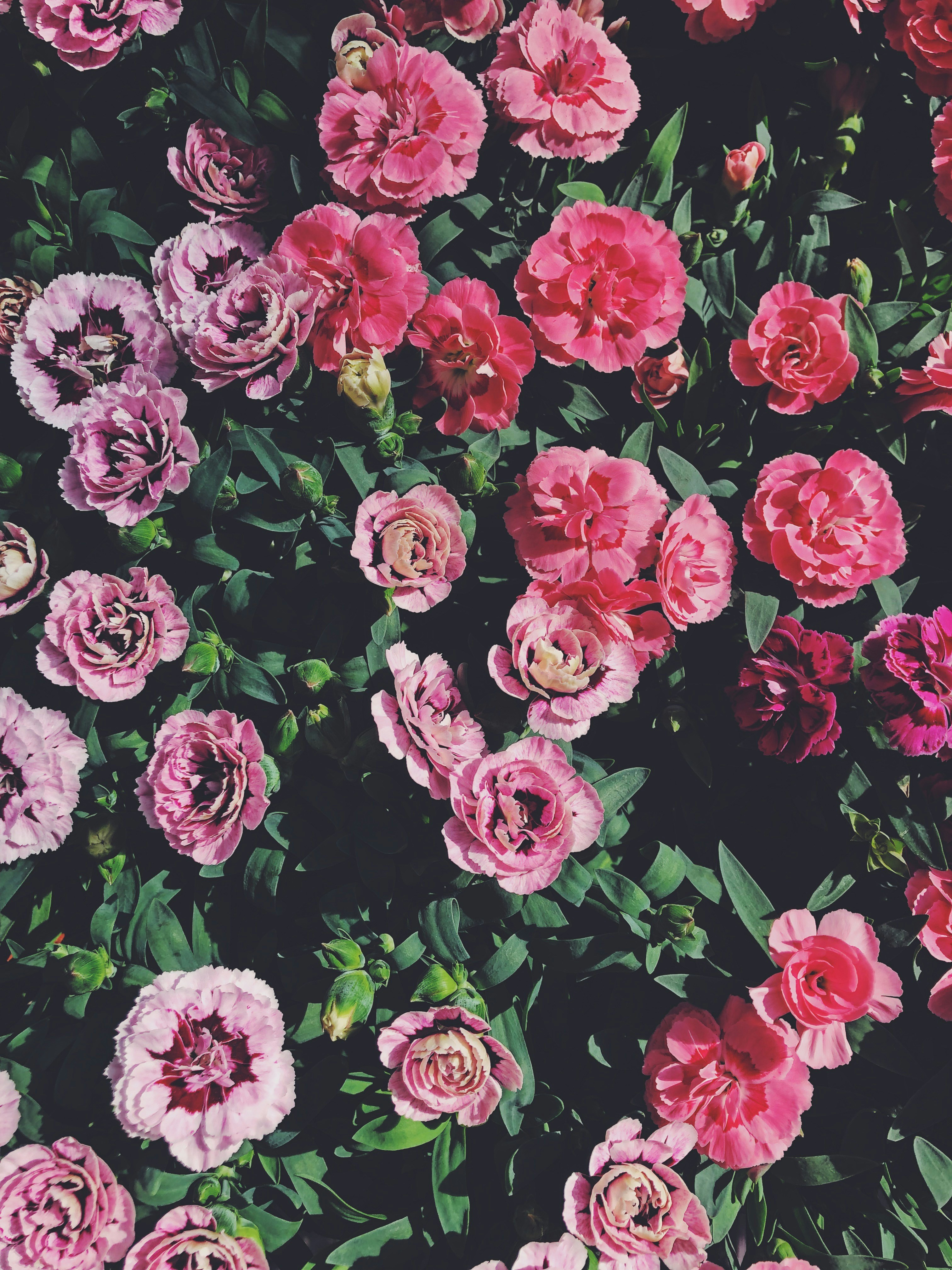 Photo by davydovaaaa