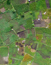 Aerial view of patchwork agricultural fields with scattered houses.