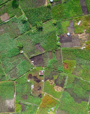 Aerial view of patchwork agricultural fields with scattered houses.