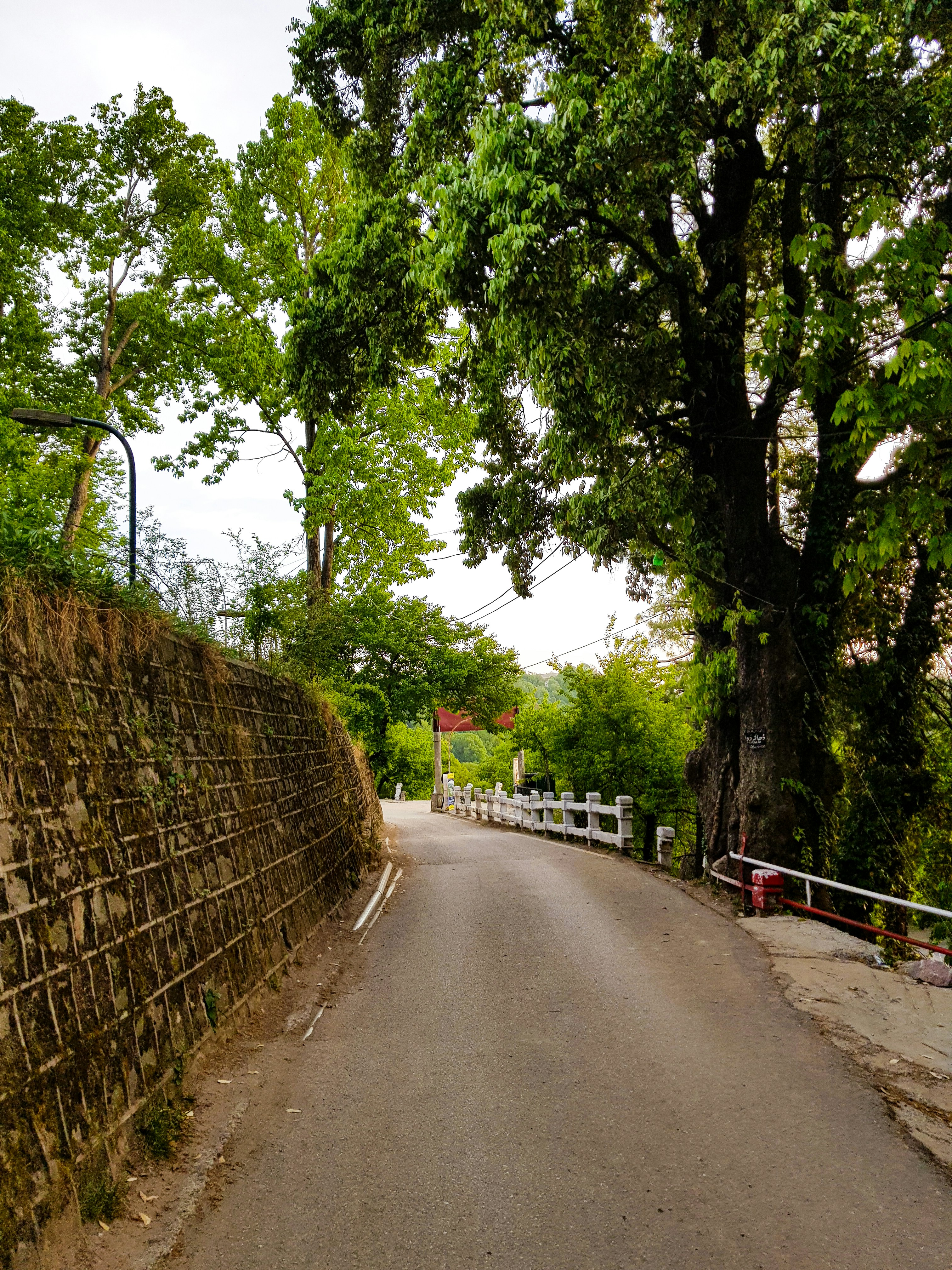 a street with a stone wall and trees