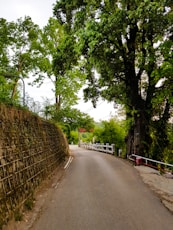 a street with a stone wall and trees