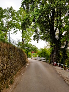 a street with a stone wall and trees