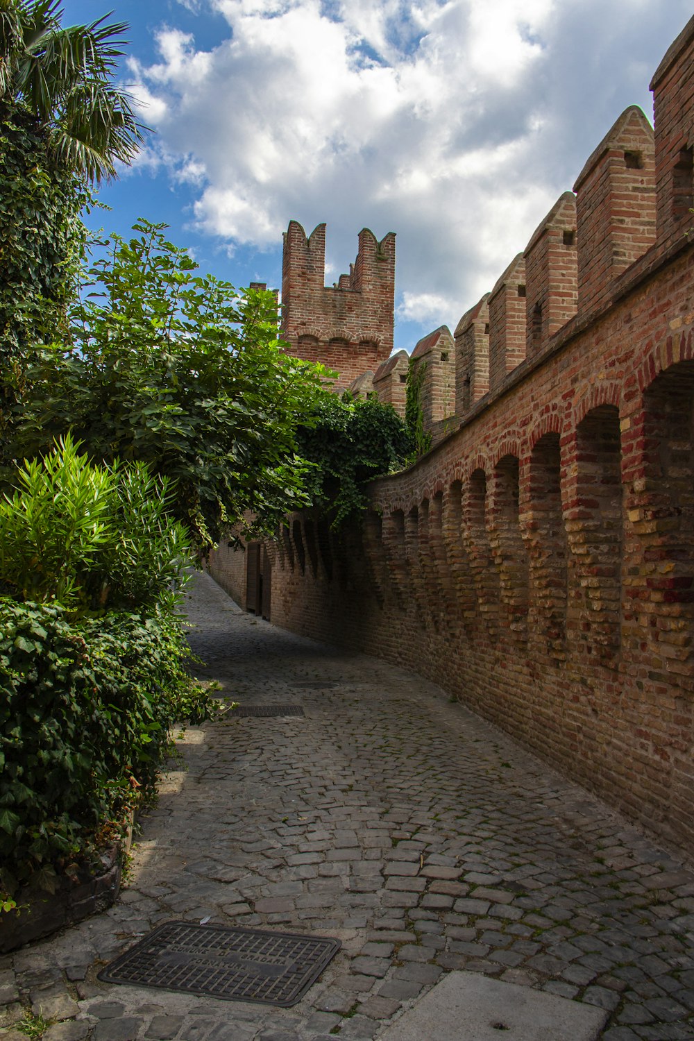 a cobblestone street lined with trees and bushes