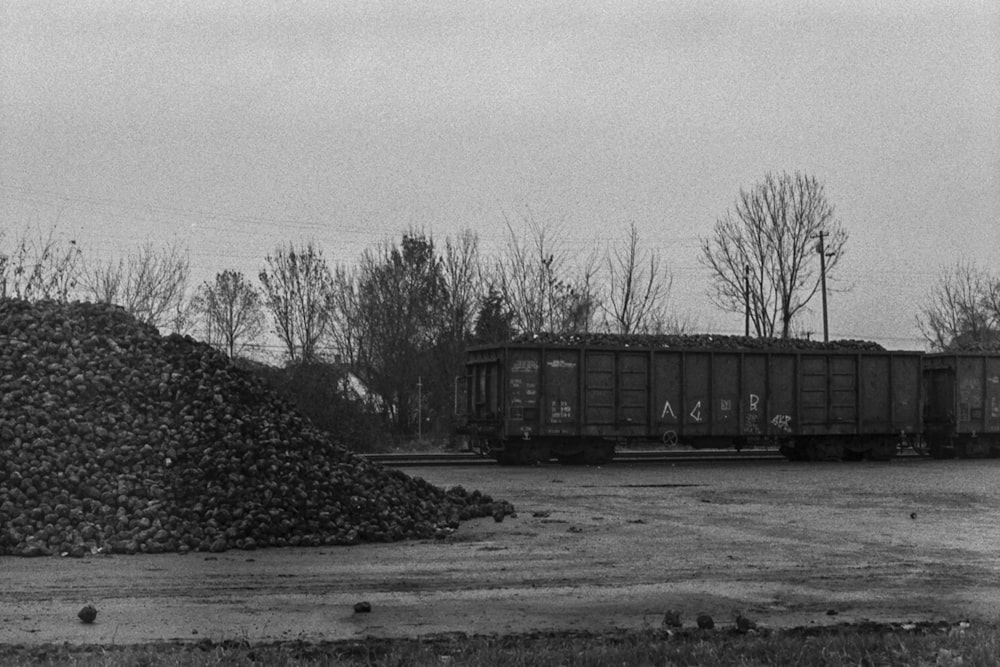 Una foto in bianco e nero di un treno e una pila di tronchi