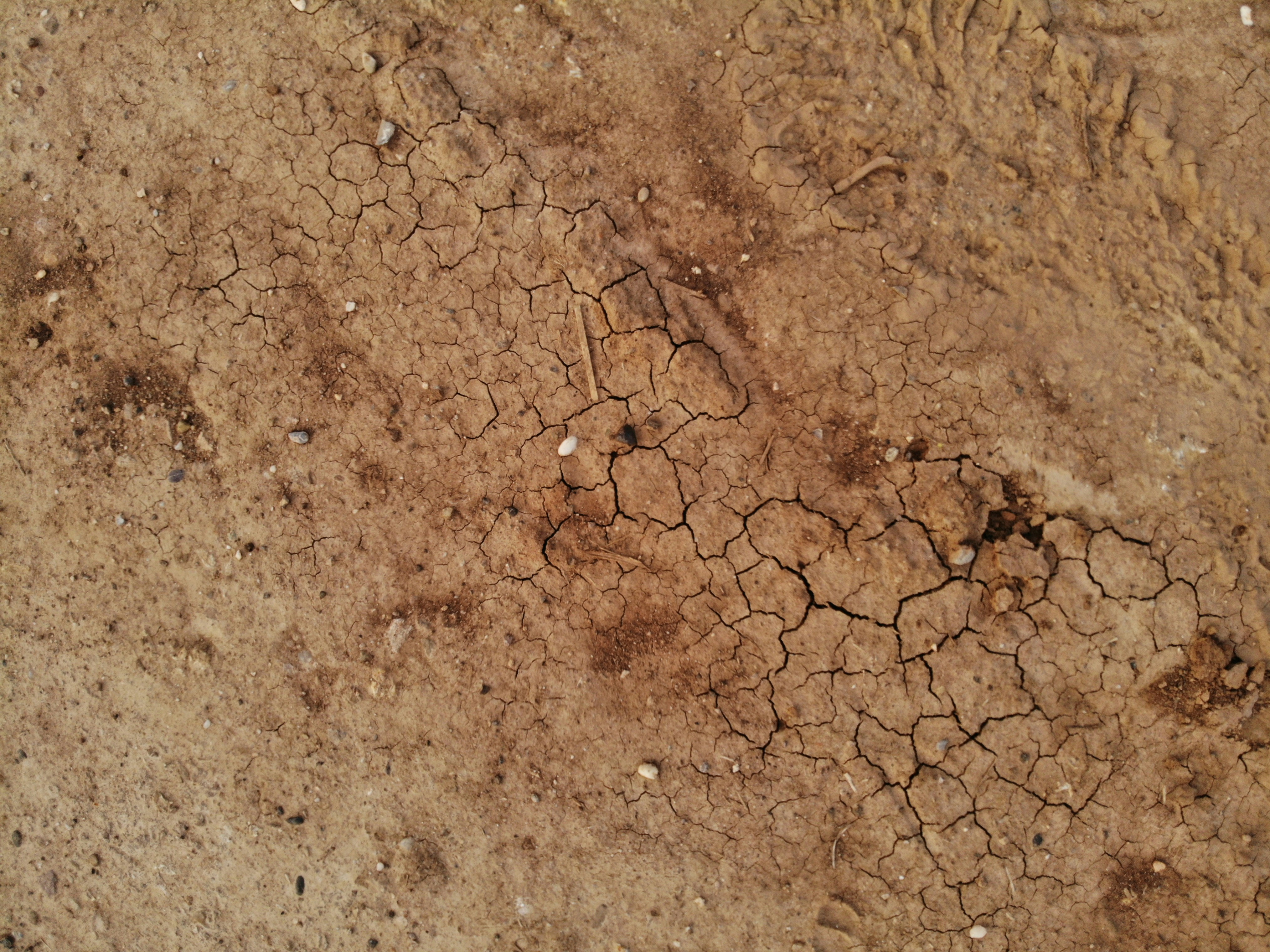 Soil Carbon and Climate Connections (image credits: unsplash)