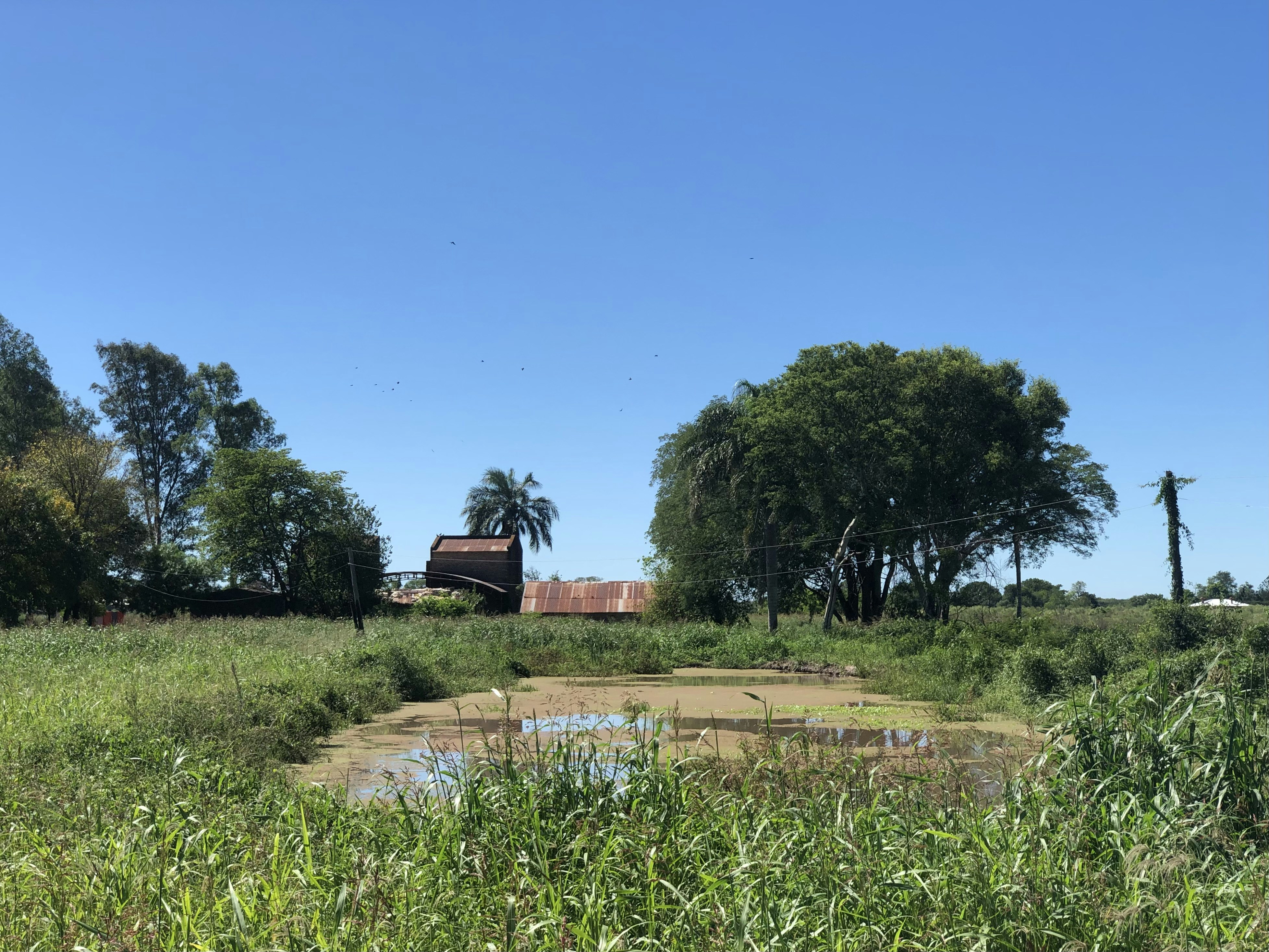 Photo by sunshinestudio82