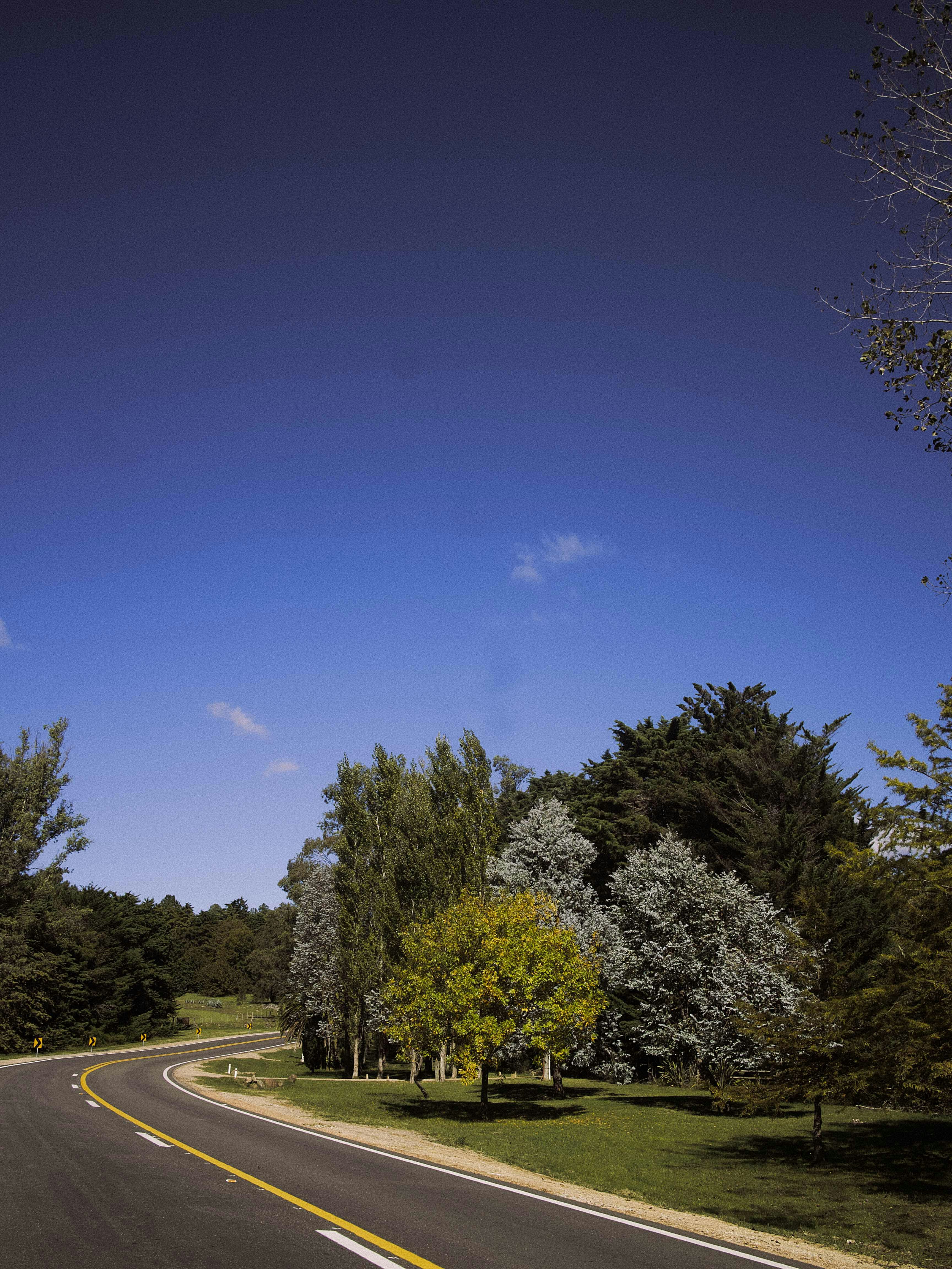 Photo by lucianoparis