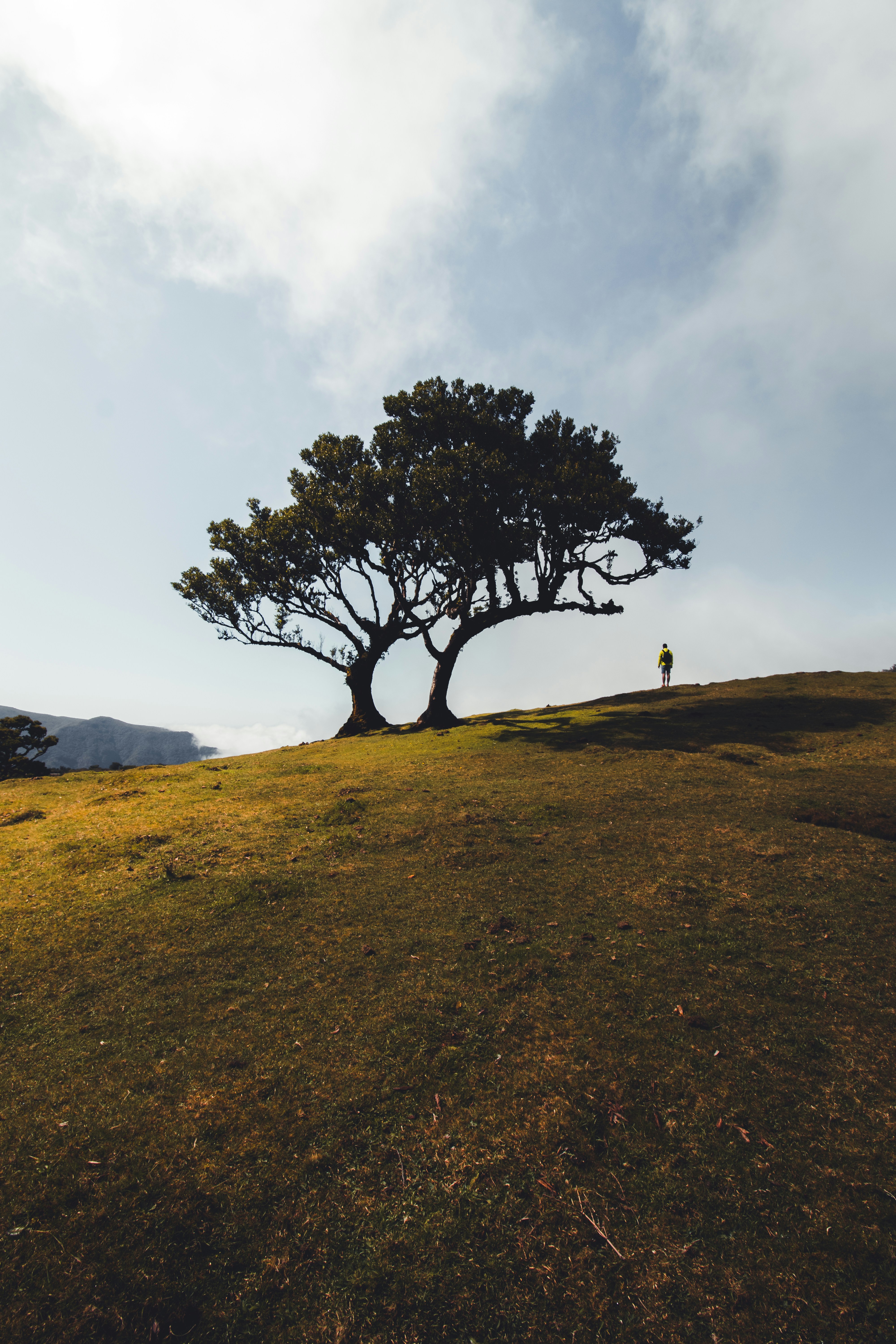 Photo by reinaldogaranito