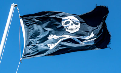 a pirate flag with a skull and crossbones on it