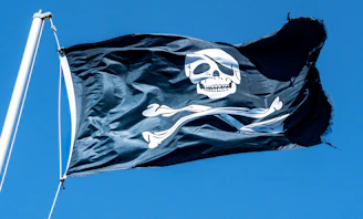 a pirate flag with a skull and crossbones on it