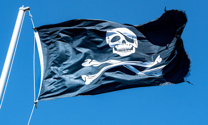 Why the Straw Hat Pirates Are Now the Vanguard of Global Youth Dissent