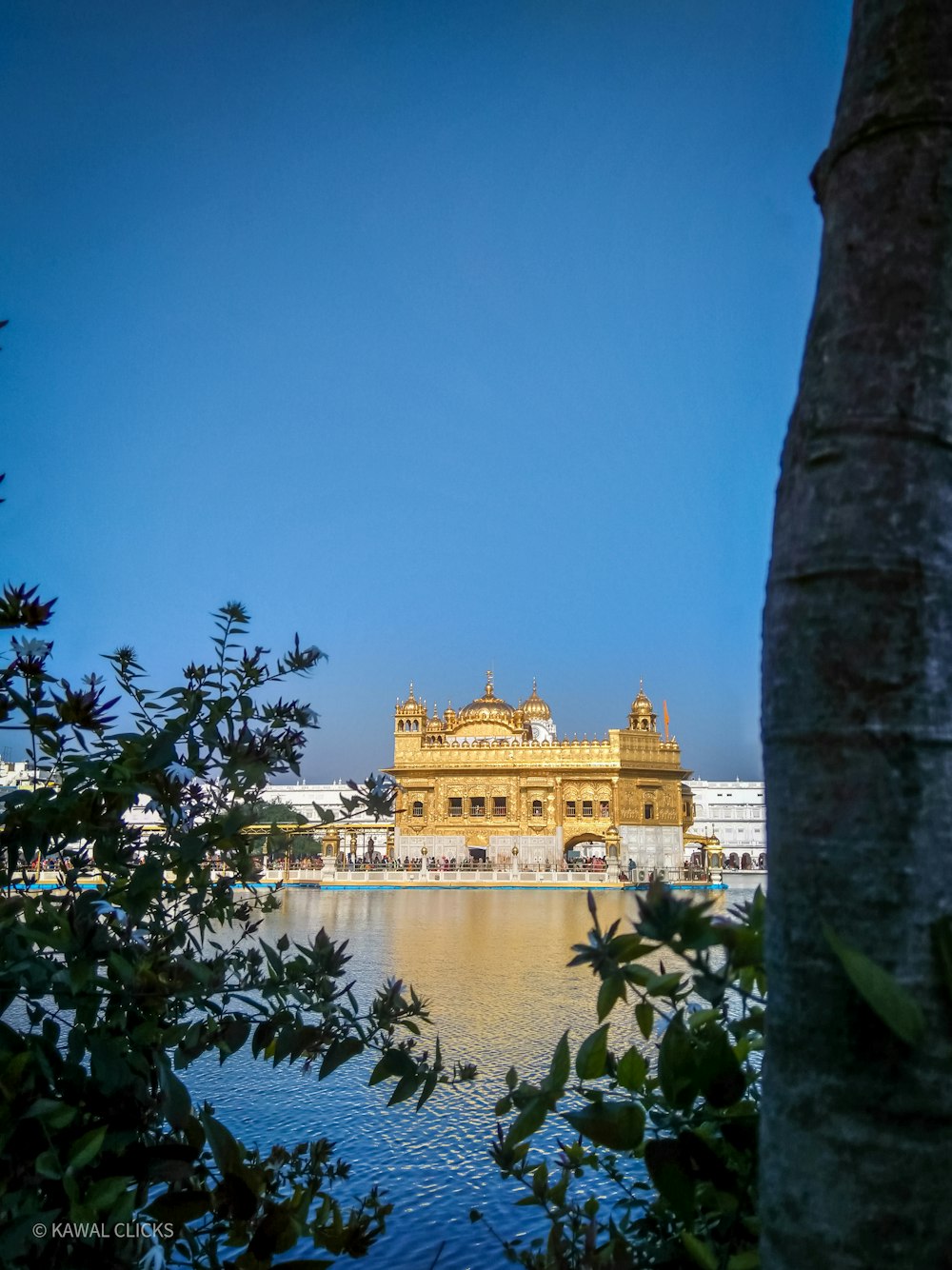 a view of a building from across the water