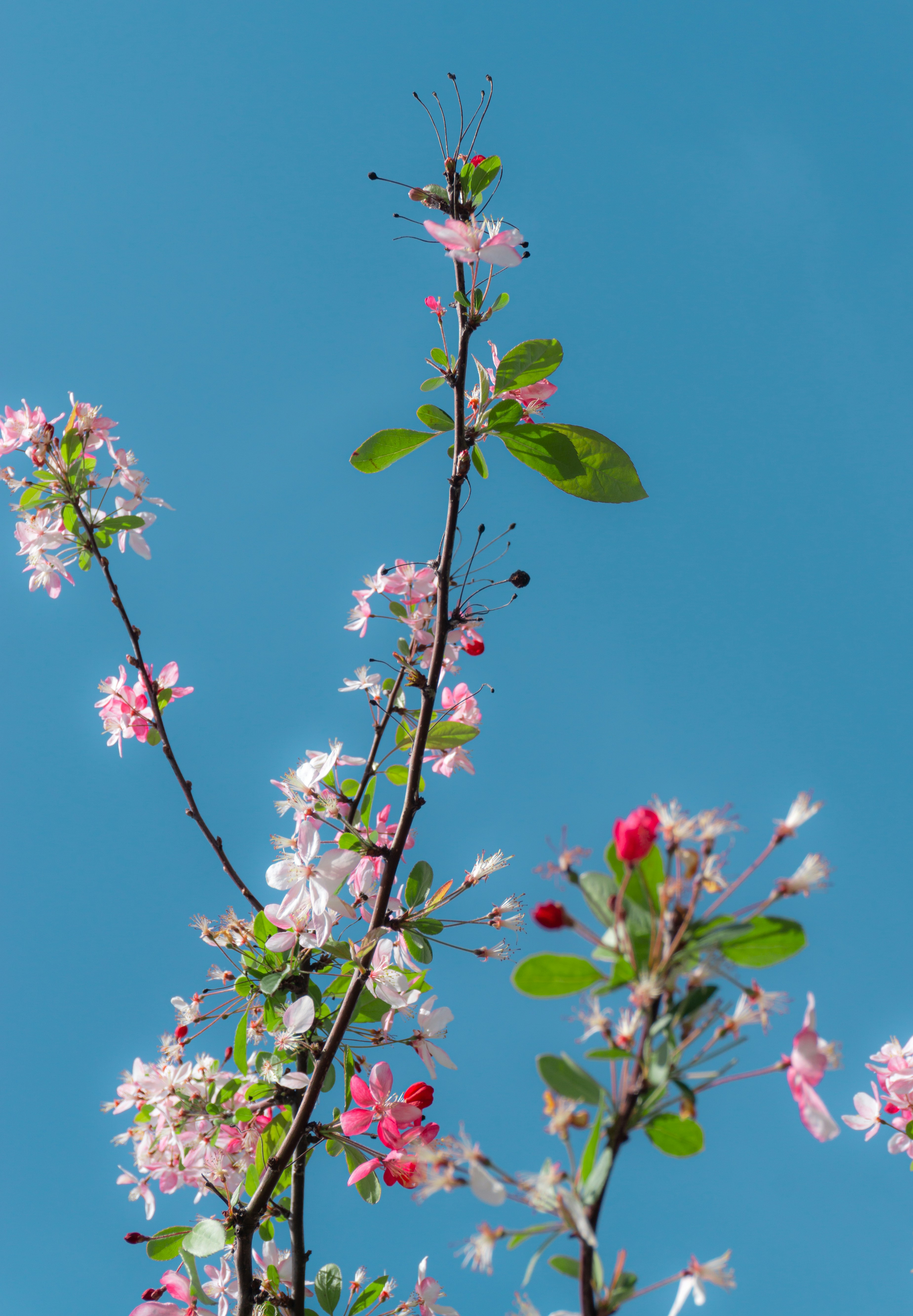 Photo by leonardo_64