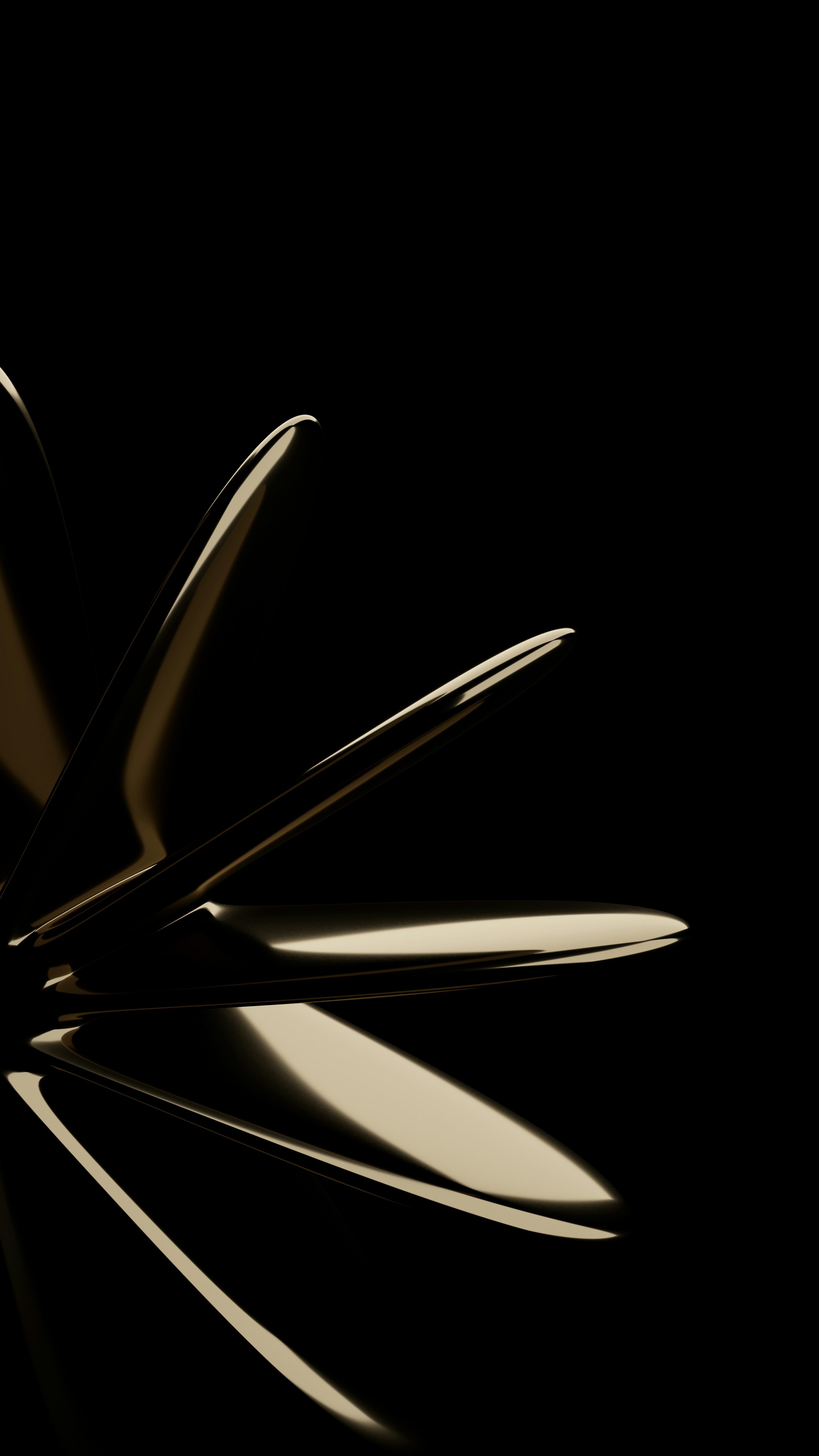 Photo by thekamranzadeh